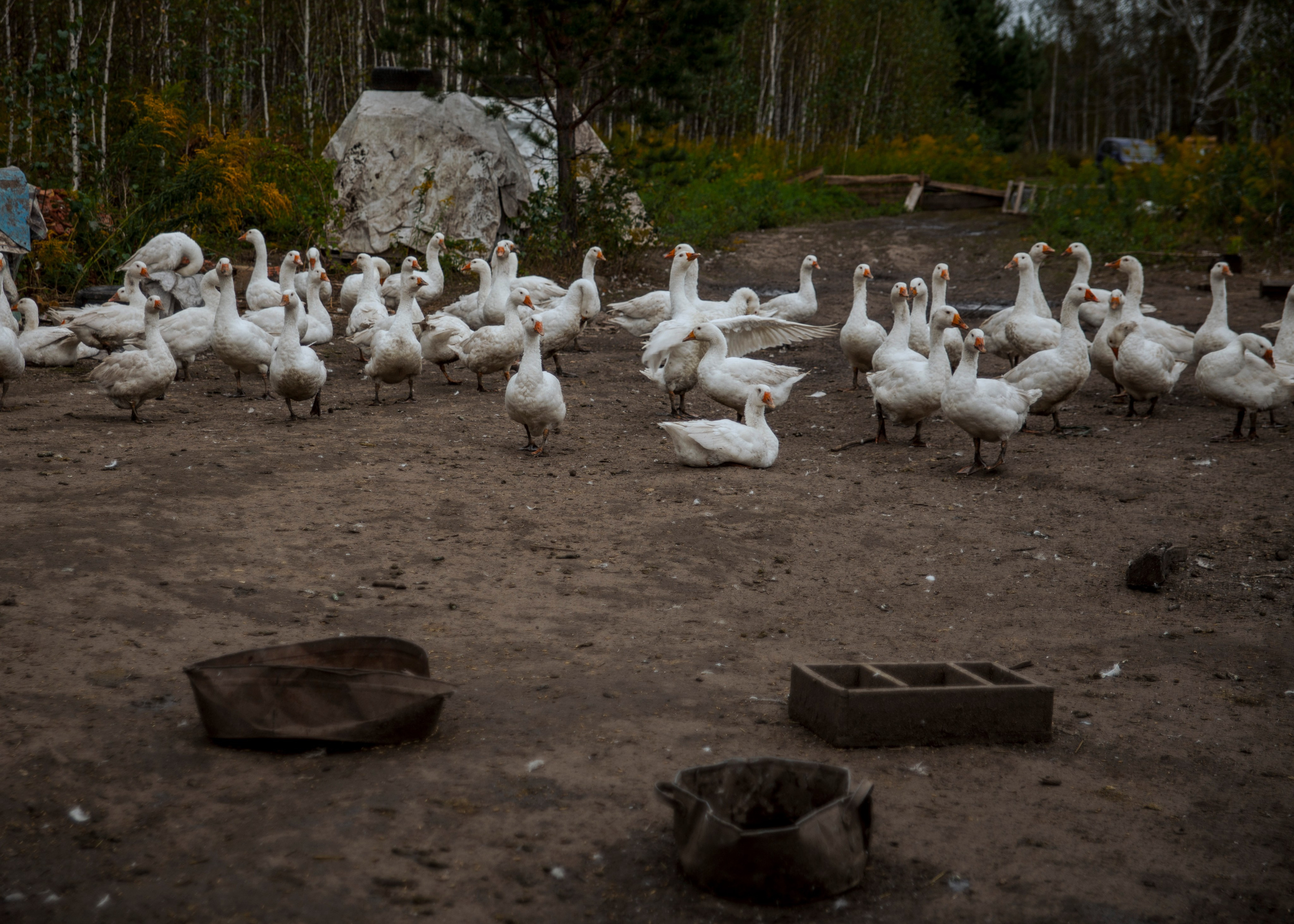 Backstage со съёмок фильма «Reverenсе». Портретный фотограф в Москве Дарья Цезария