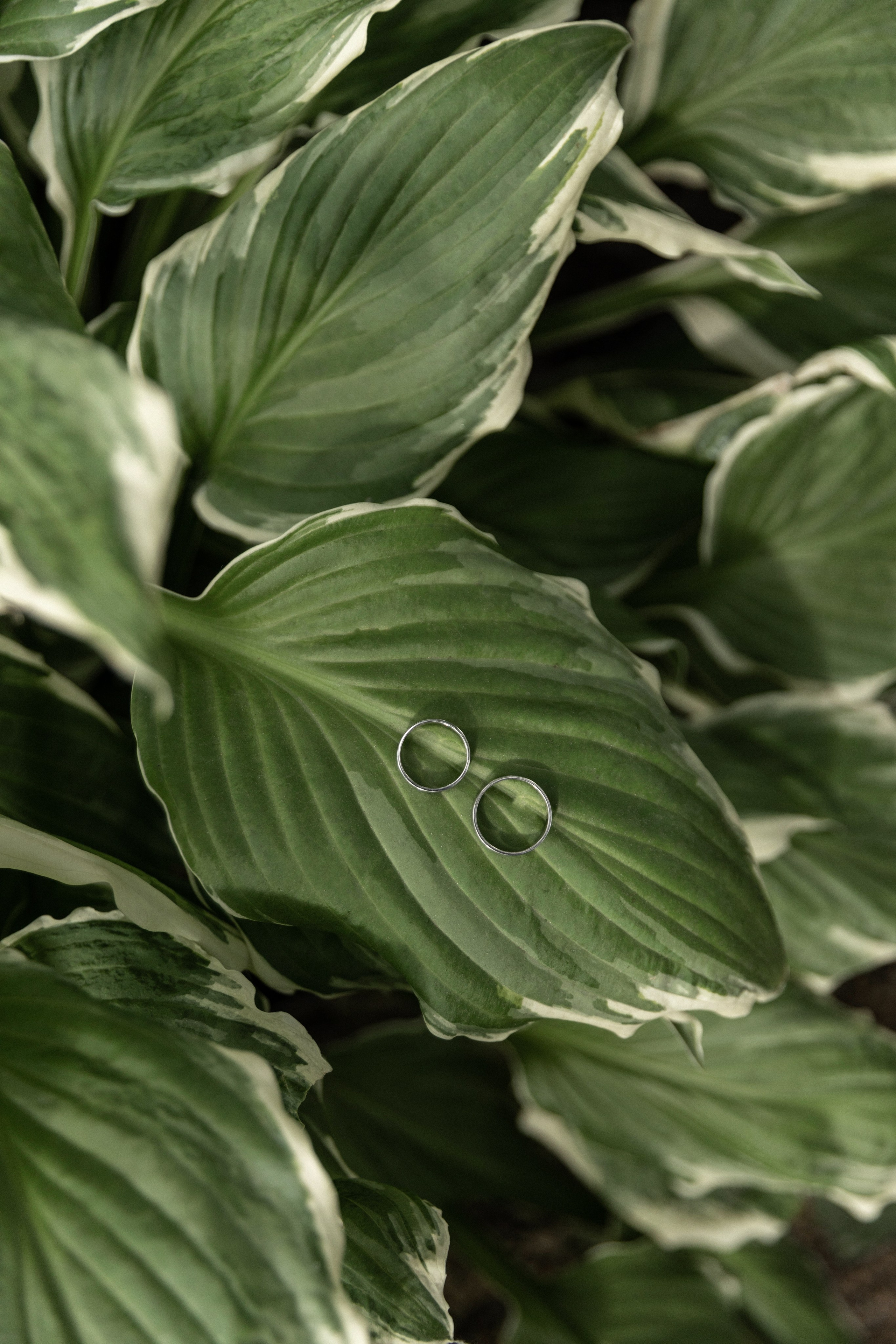 Свадебный и портретный фотограф в Воронеже Алфёрова Оксана