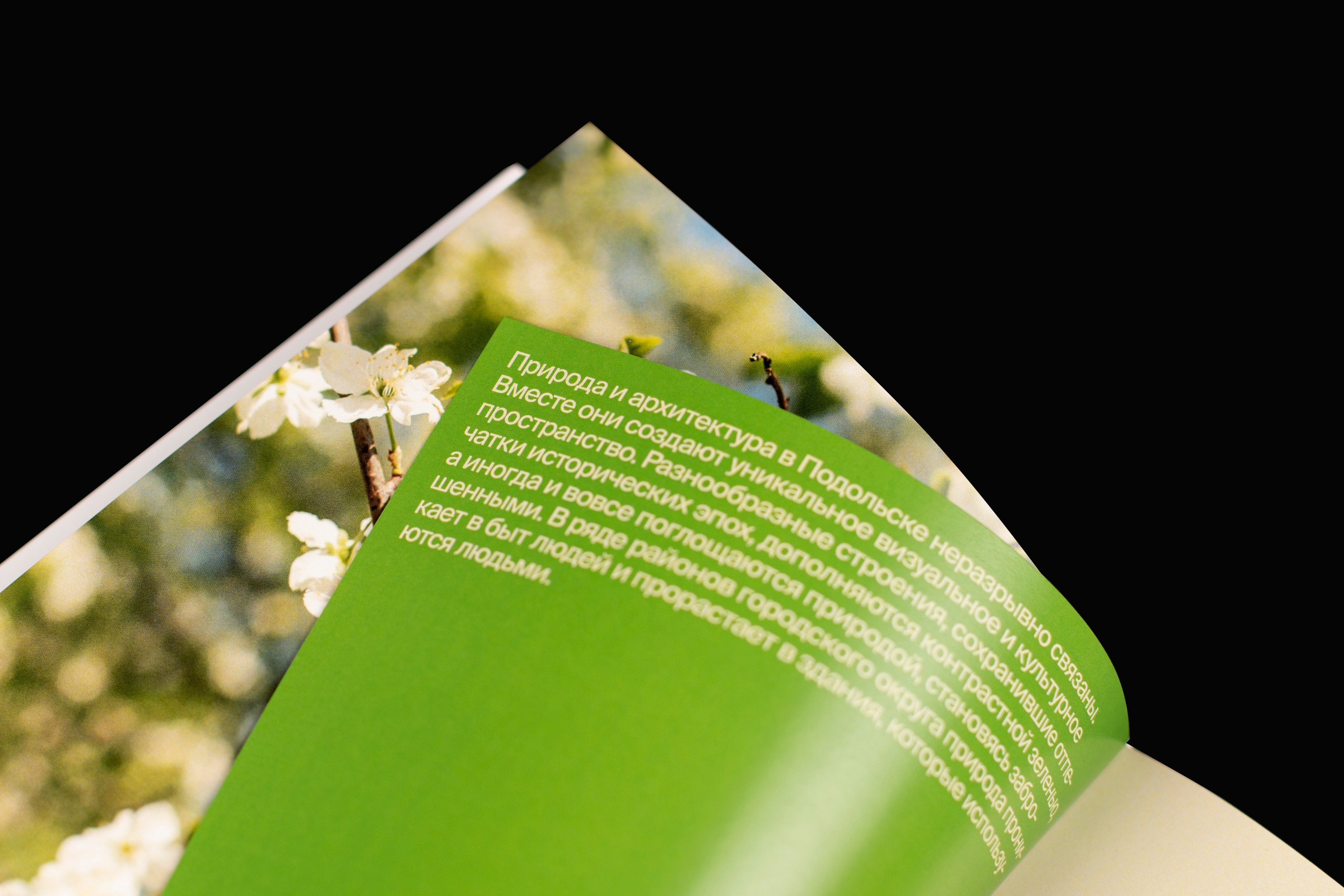 Книга. Фотограф Злата Спицына