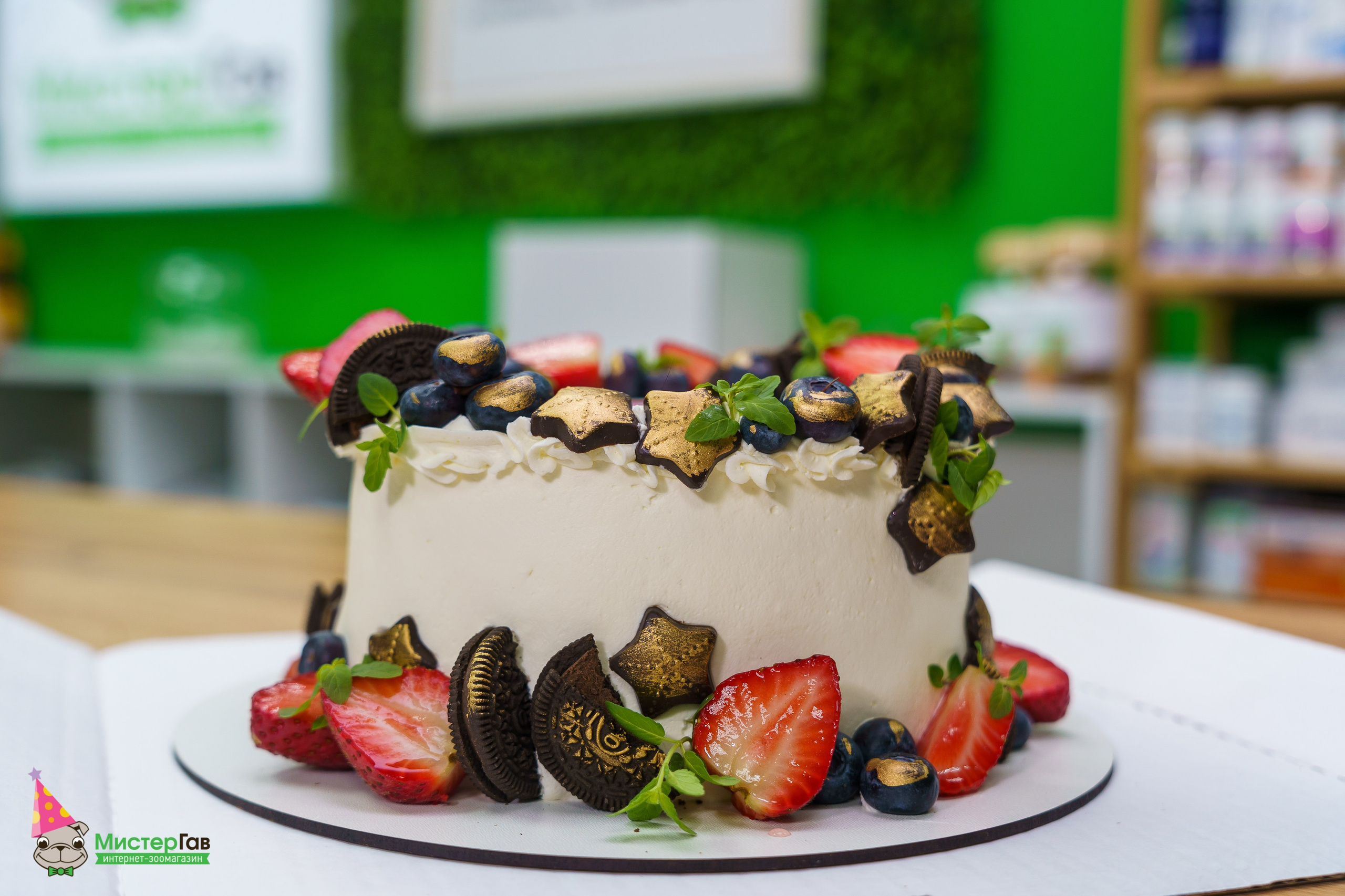 Мистер Гав -13 лет!. Фотограф Челябинск · Ольга Серебрякова