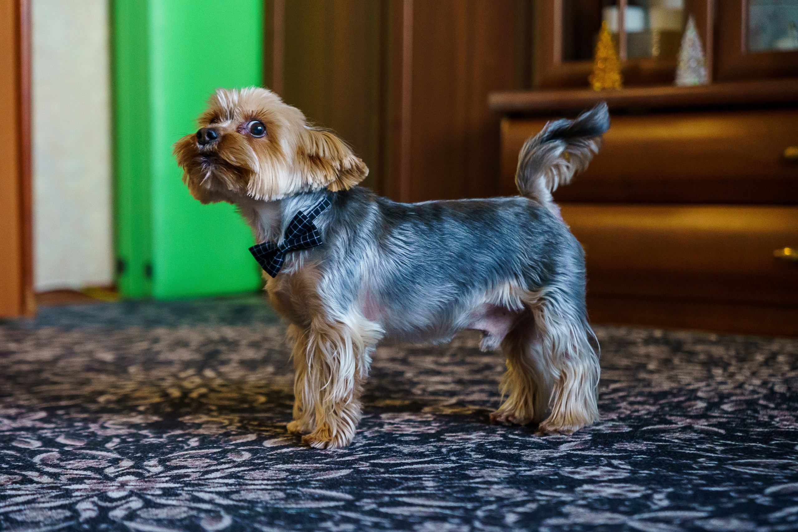 Праздник к нам пришёл!. Фотограф Челябинск · Ольга Серебрякова