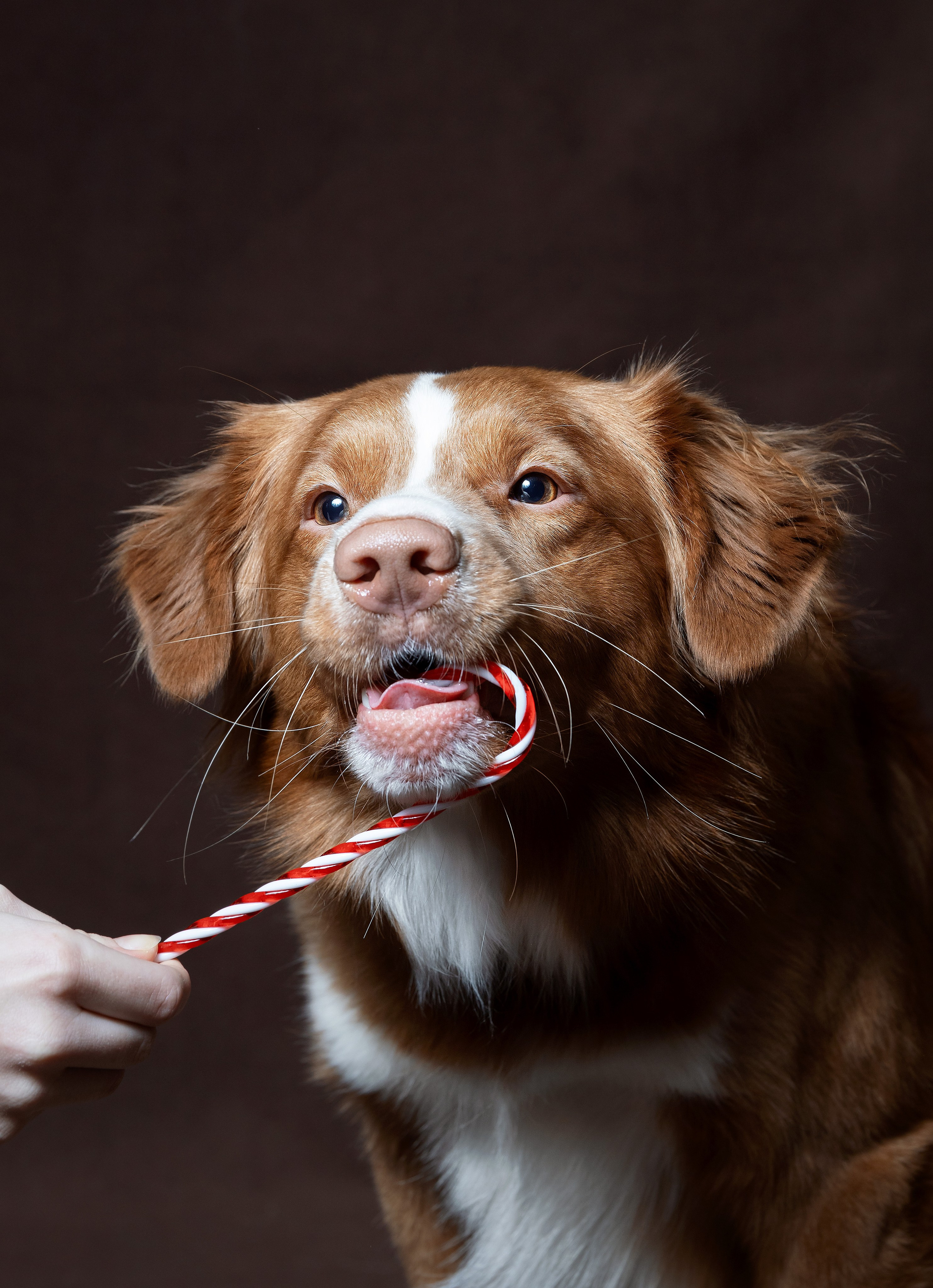 Ричард. Юлия Микульская. Рыбинск