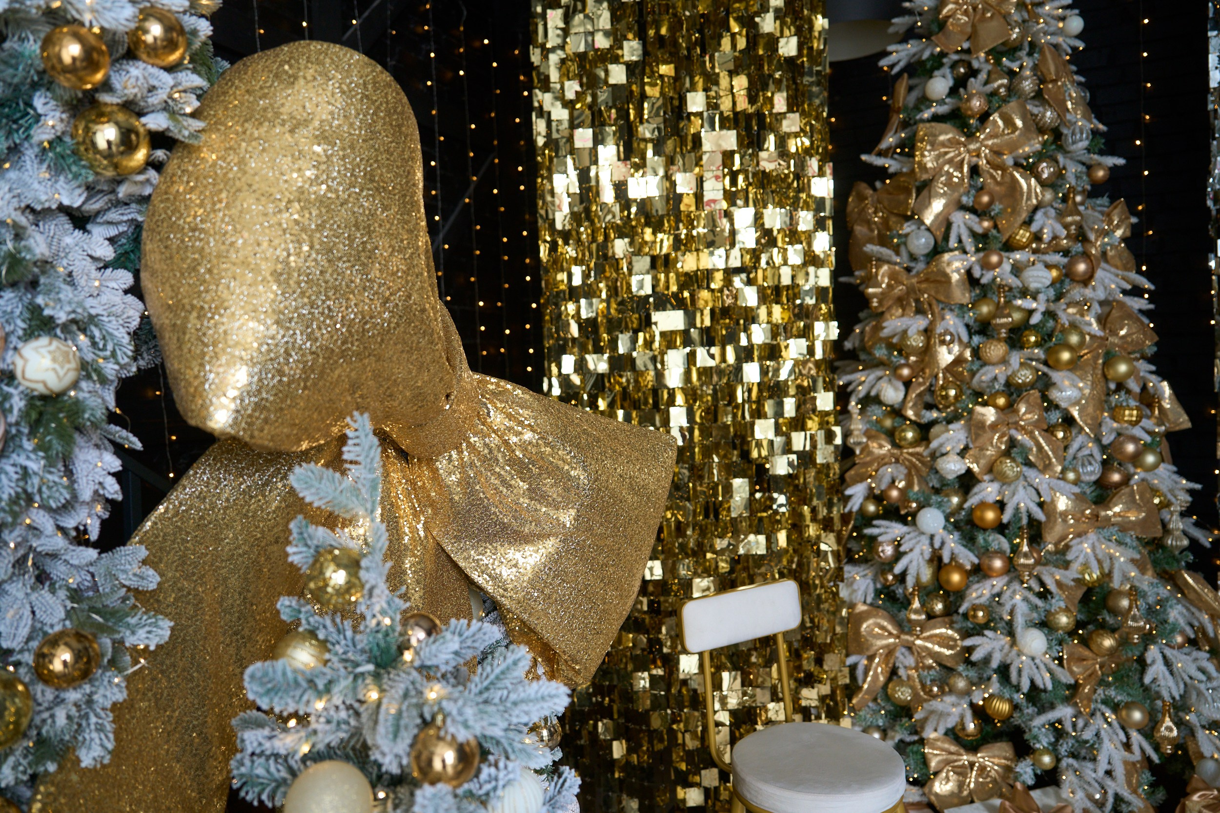 Арт (Art). Фотограф г. Хабаровск. Семейные и индивидуальные съёмки