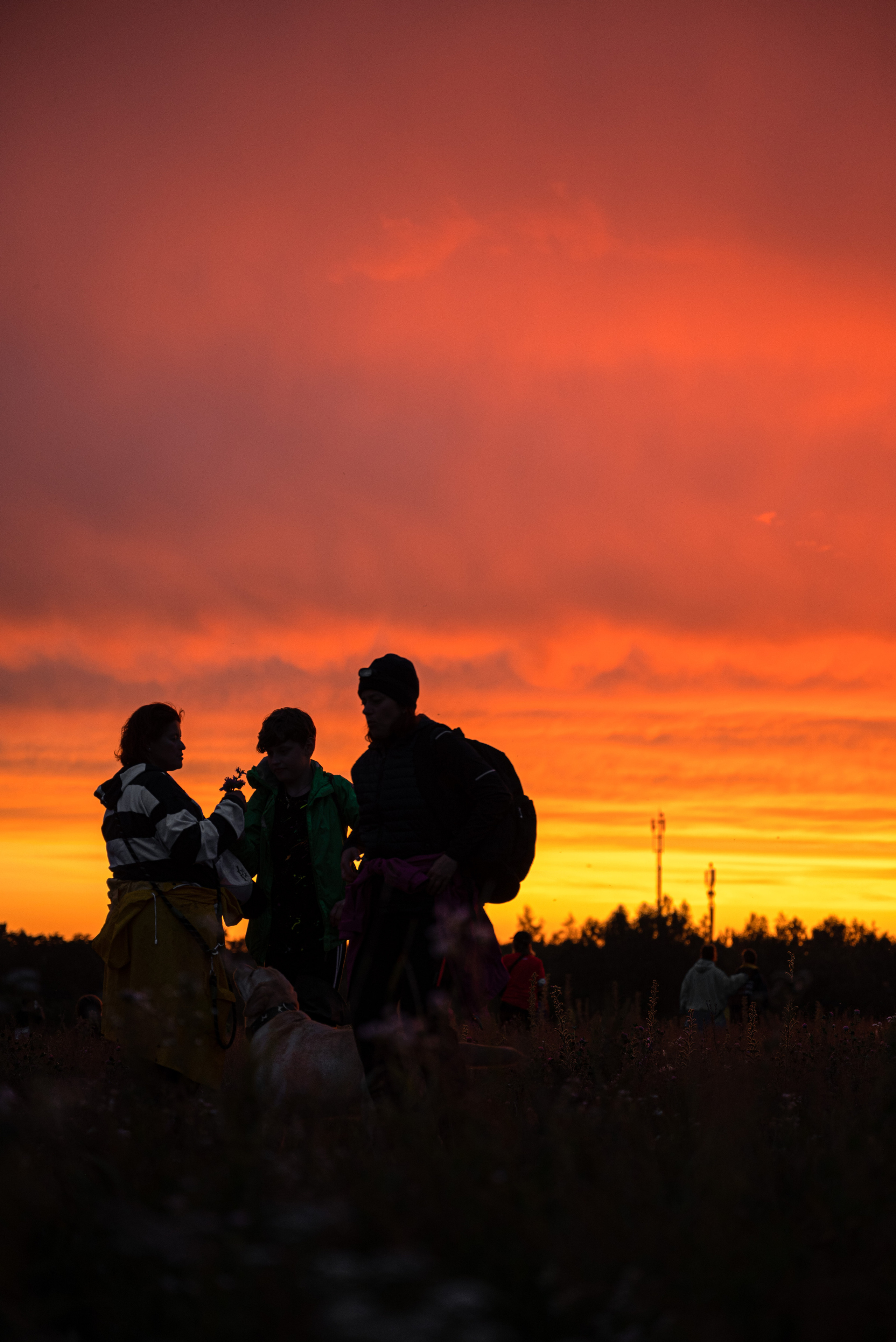 Архстояние 2023. Фотограф Дарья Сафонова Dashulkacss