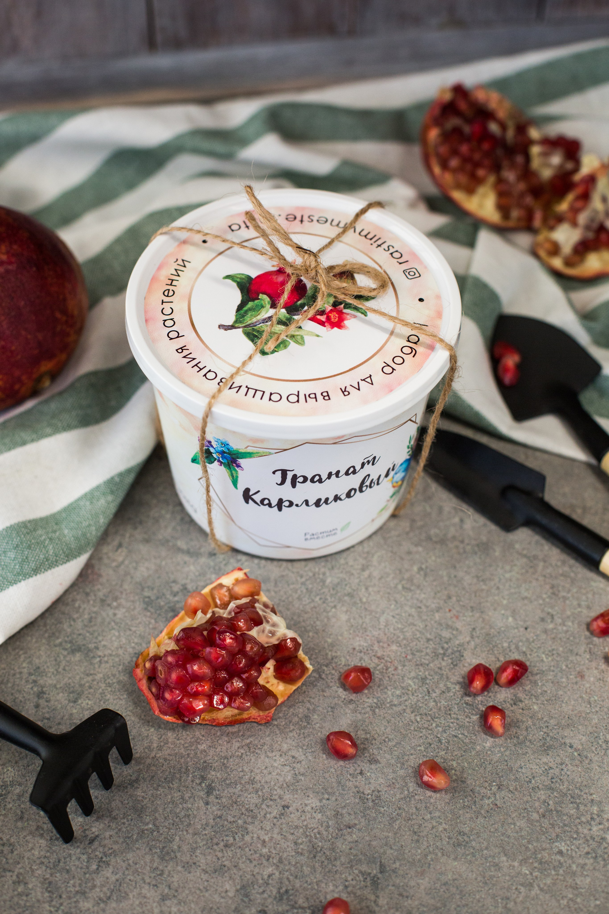 Растим вместе. Главная