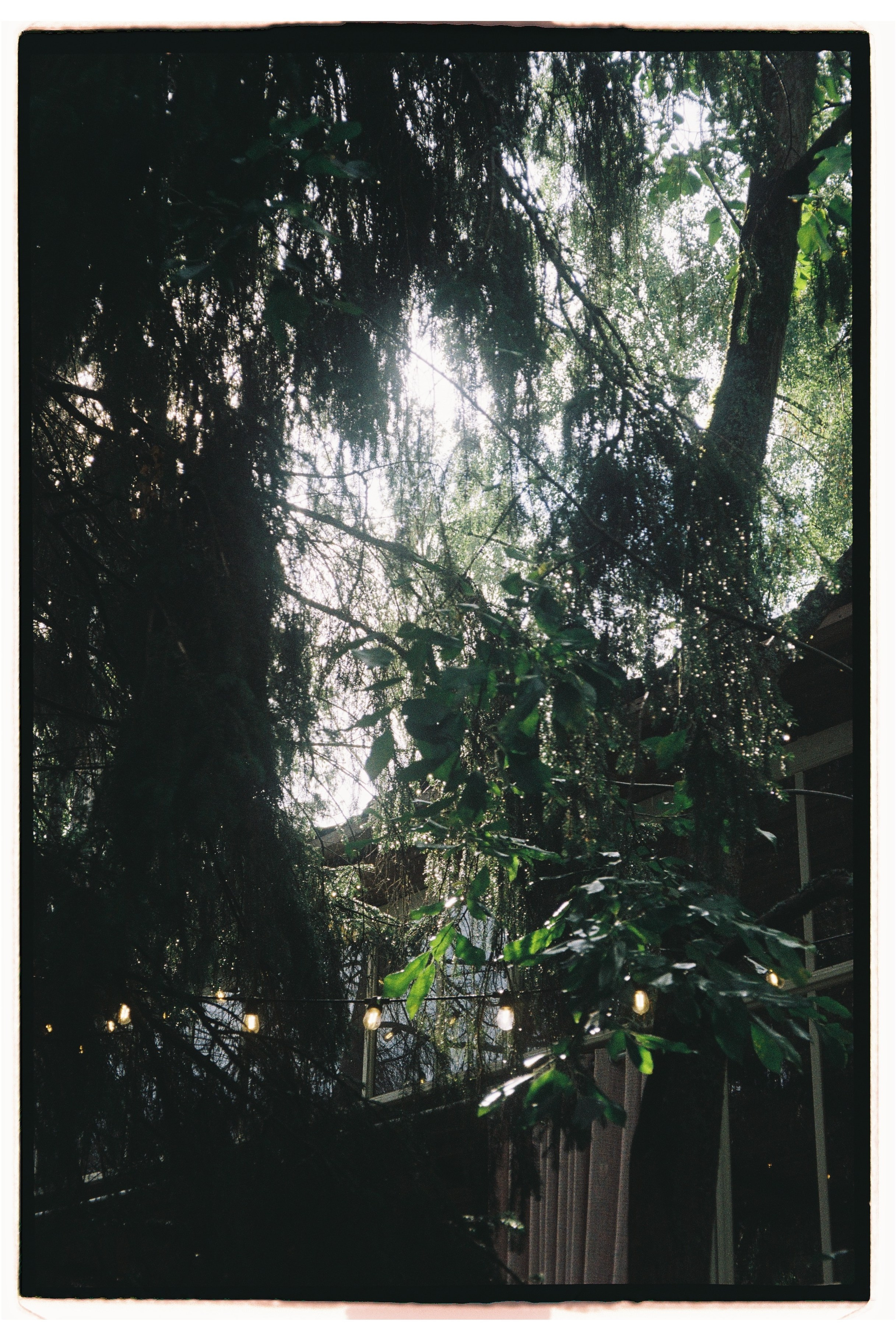 ДЖ ². Свадебный фотограф в Москве Мария Кривоногова