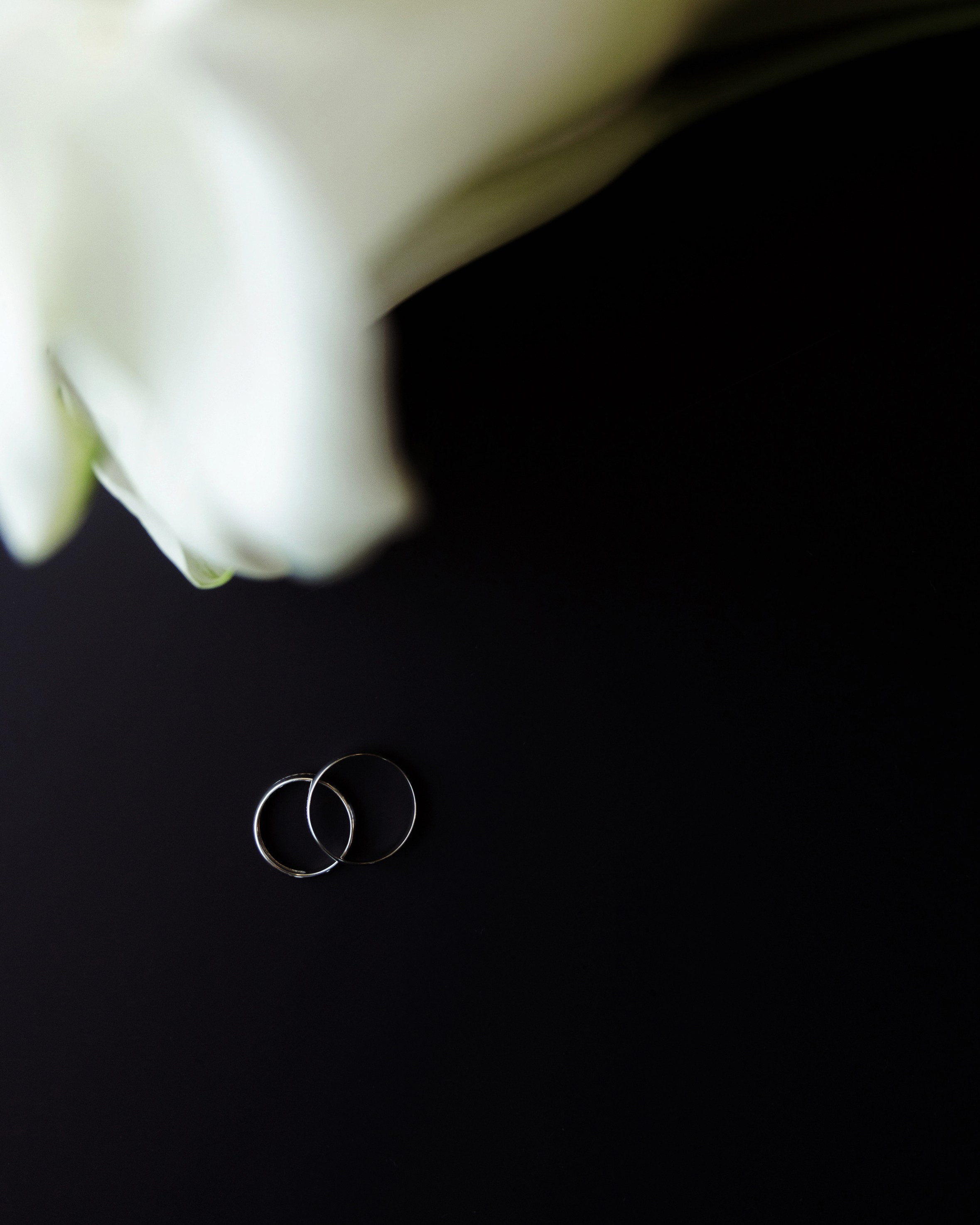 Свадебный и портретный фотограф в Москве Кристина Золотова