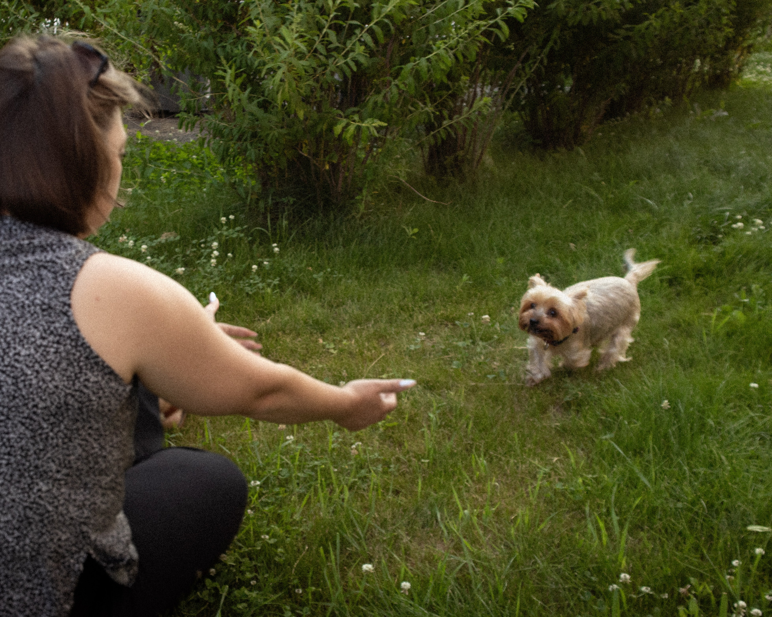 С животными. Фотограф Новосибирск, Академгородок, Бердск — Айна
