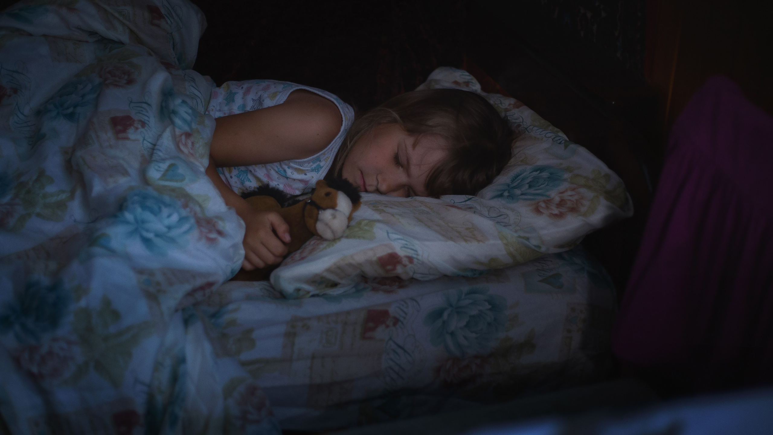 Мечта. Фотограф — путешественник Светлана Романовская