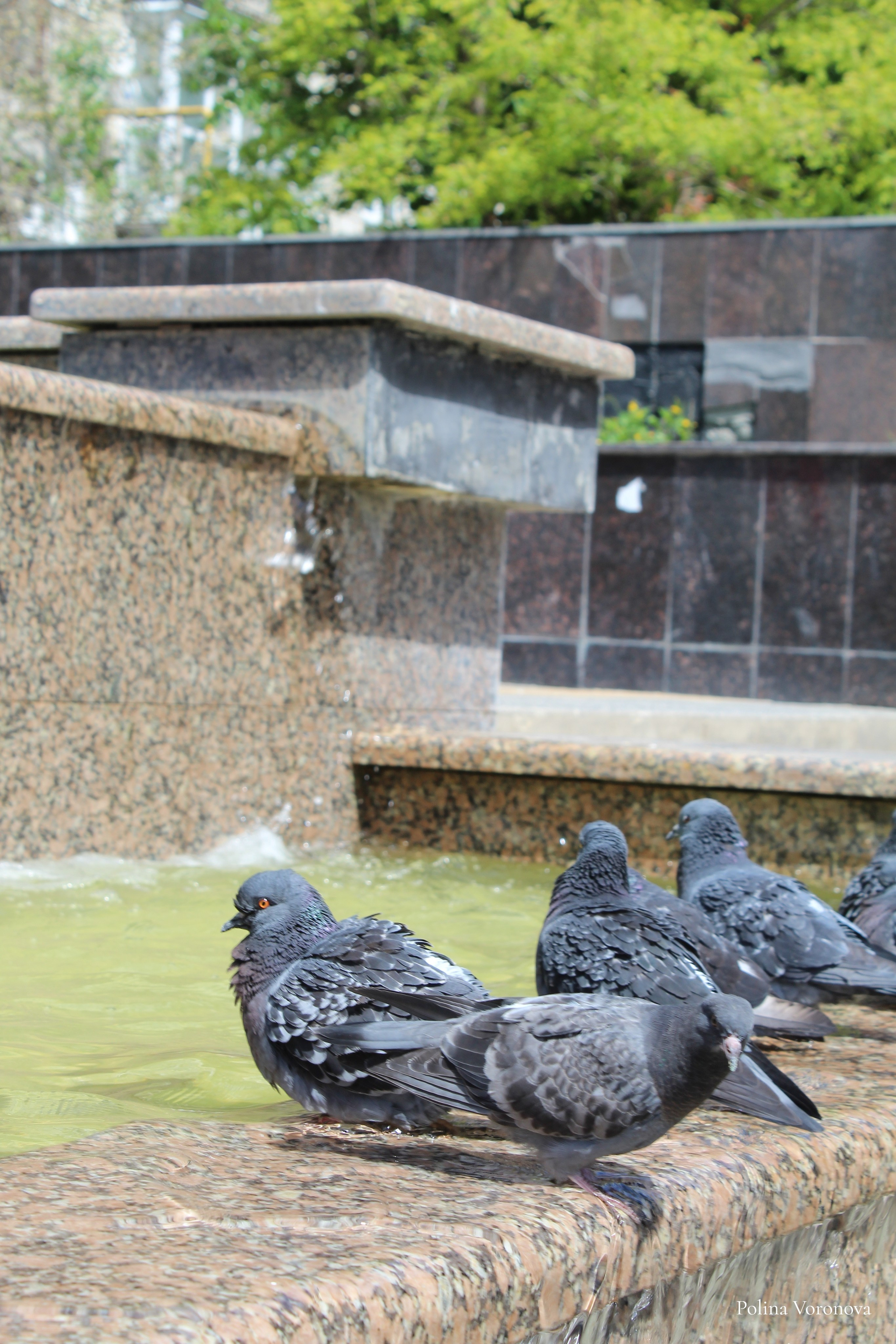 Саратов — город в упадке. Хорошая экспедиция