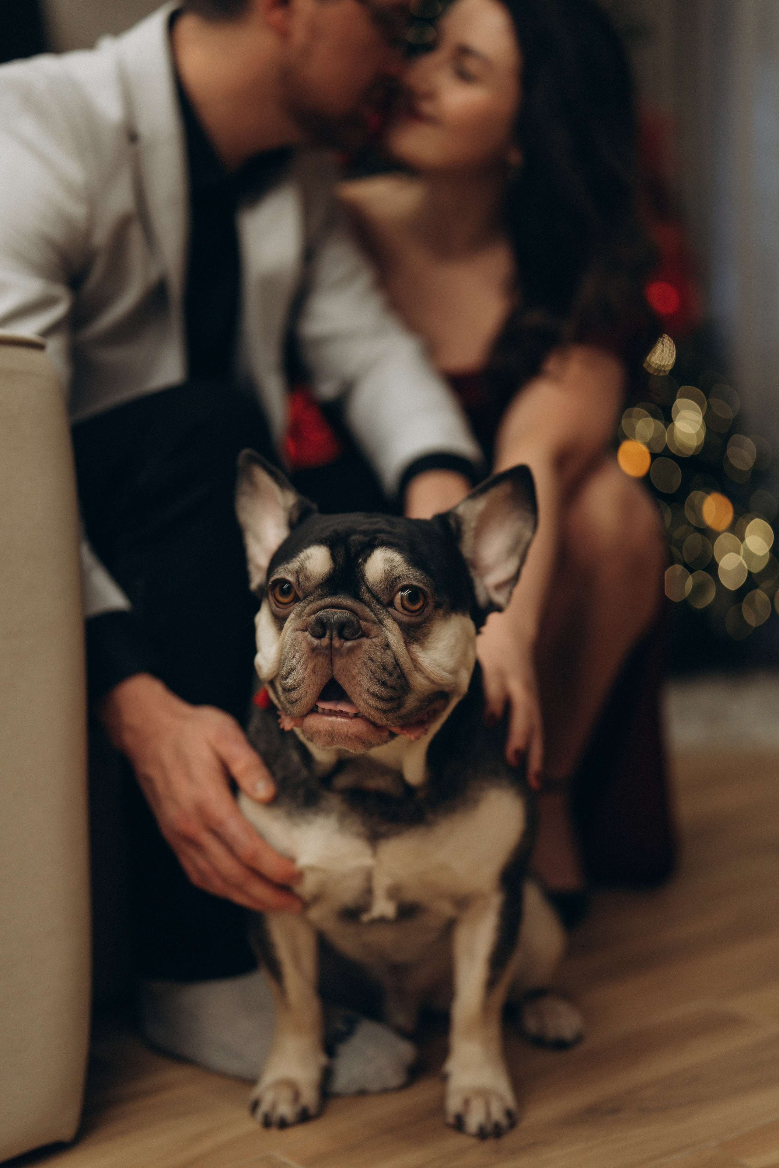 Вместе в новый год. Елизавета Шумик Семейный Фотограф