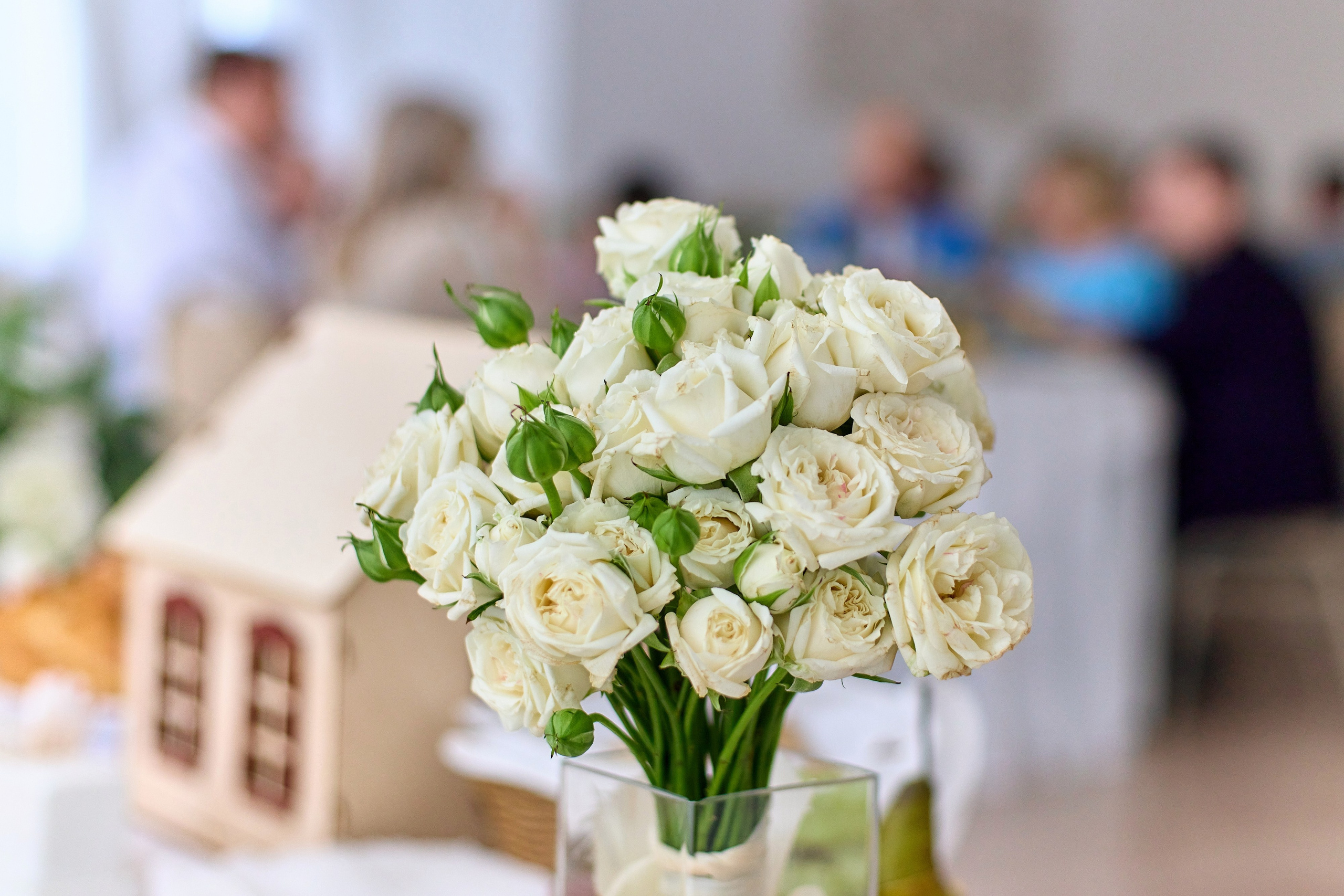 Аня и Артем