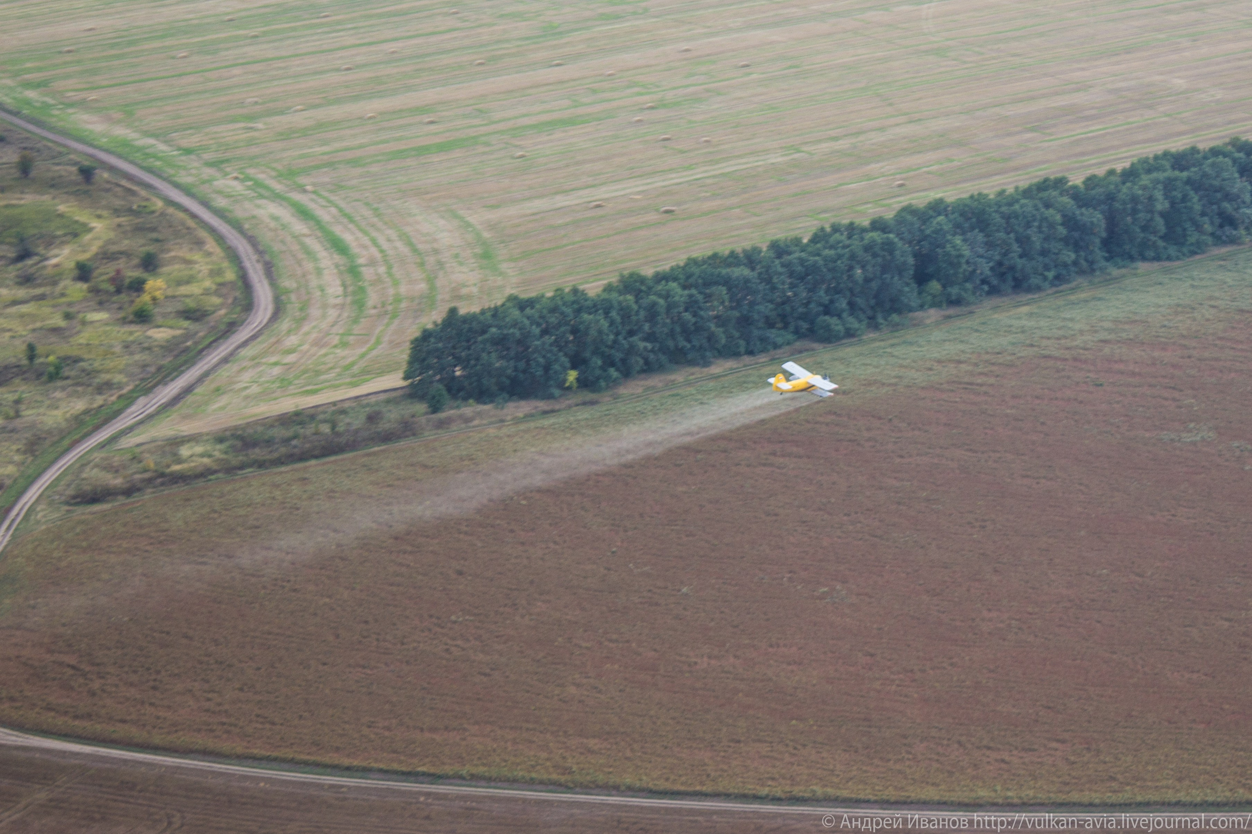 Волгодонск аэр. Потапов слёт «Небо для всех» (2021 г.). Фотоальбом показывающий увлекательный мир авиации и мир медведей Андрея Иванова