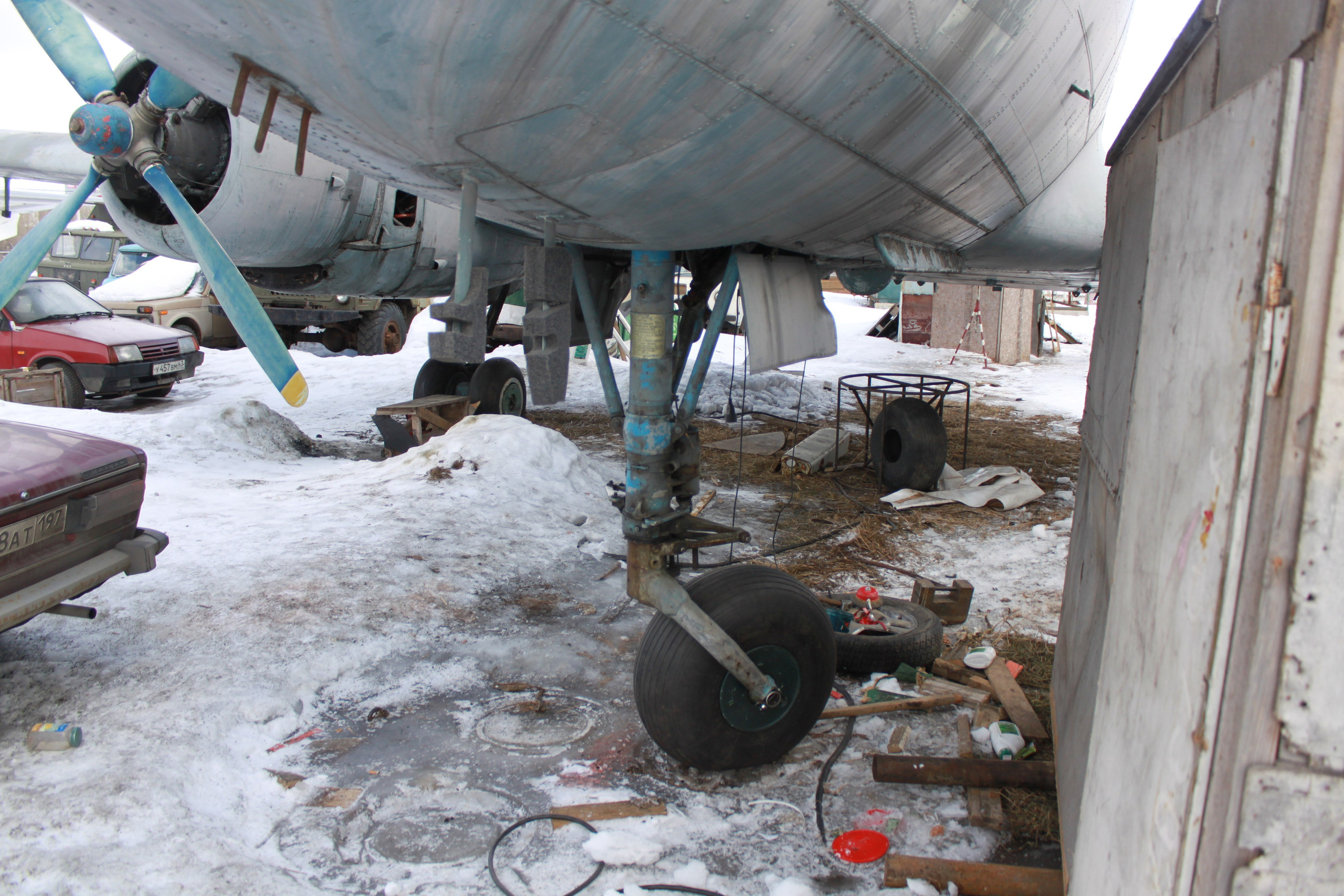 Ил-14Т «Голубая Мечта» работы в Тушино (2011 г.). Фотоальбом показывающий увлекательный мир авиации и мир медведей Андрея Иванова