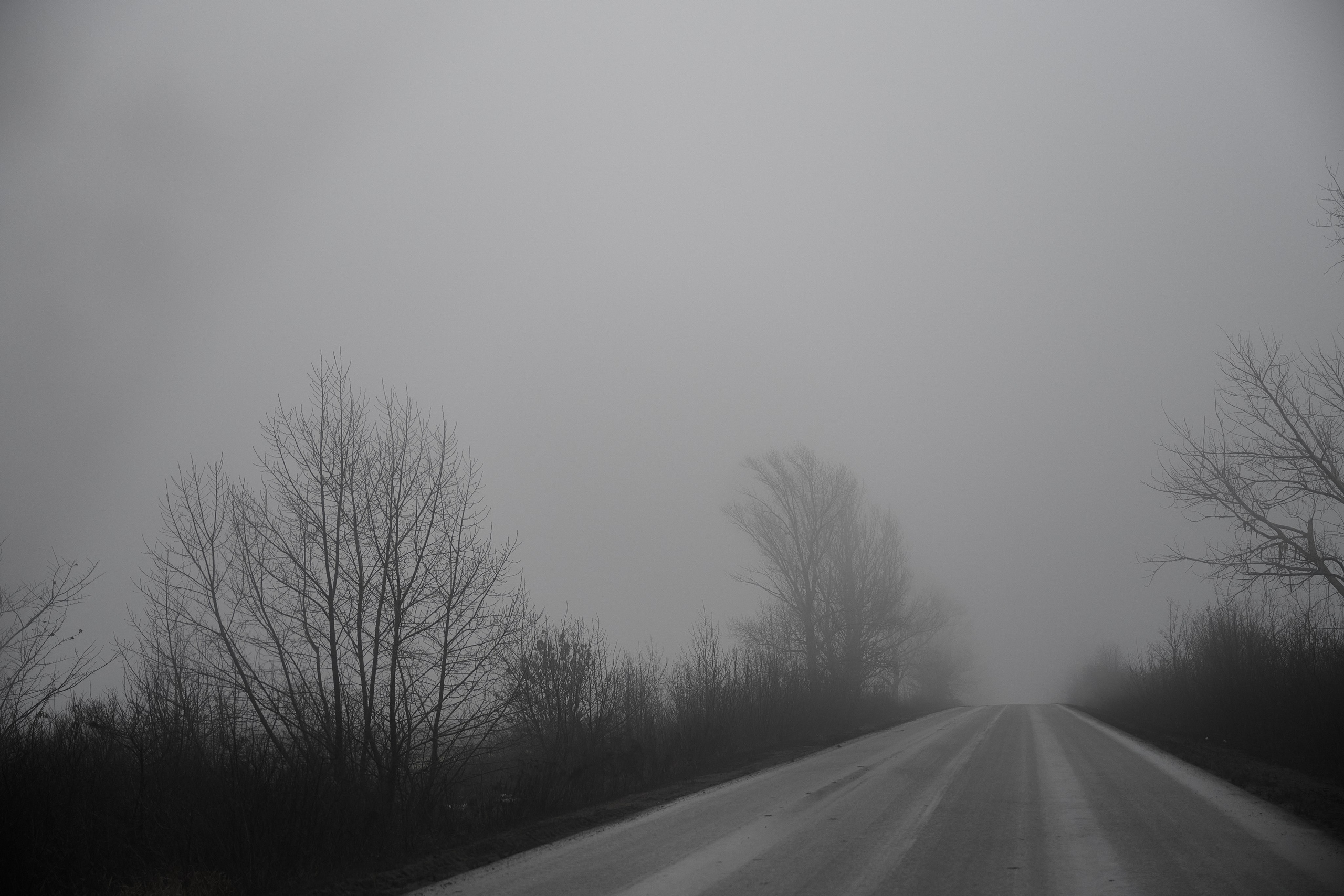 Дорога домой. Туман. Фотограф Роман Адлер