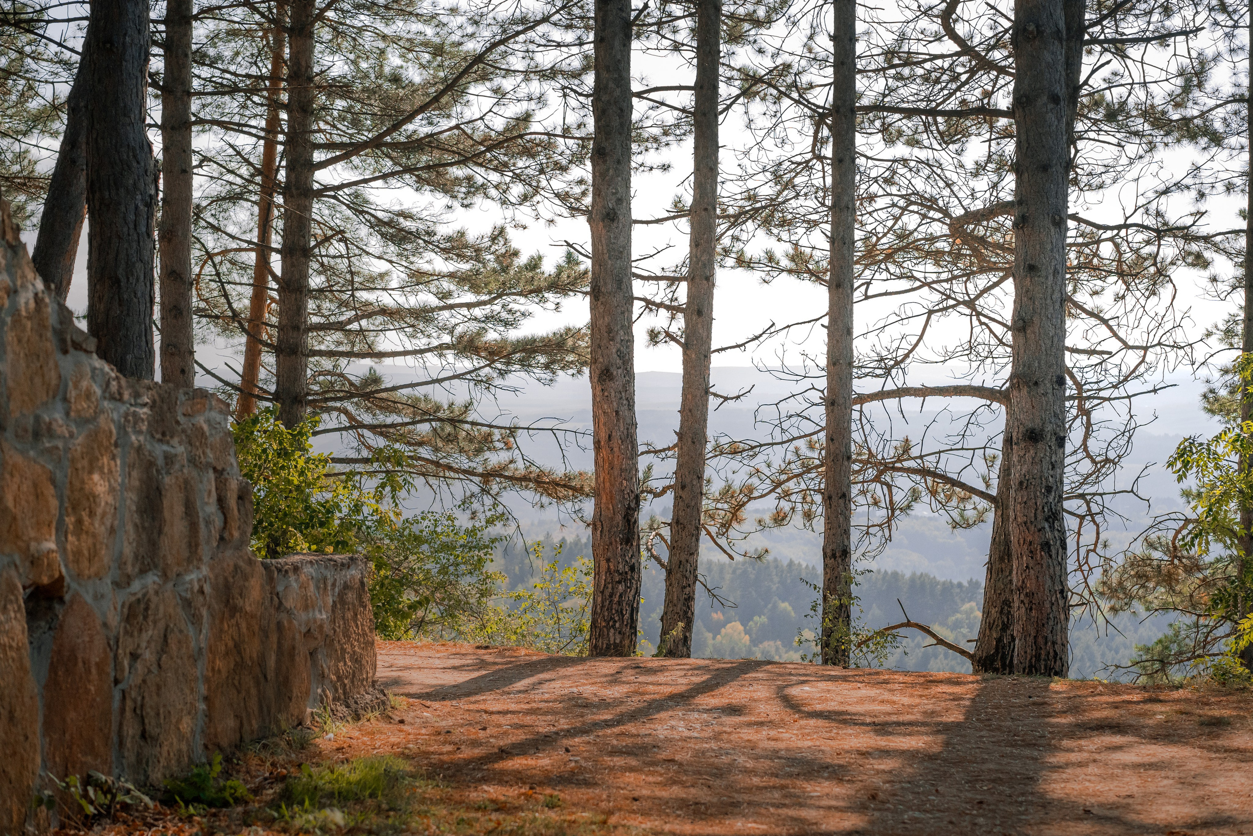 Кисловодск, терренкуры национального парка. Юля Дэй • Фотограф, Санкт-Петербург