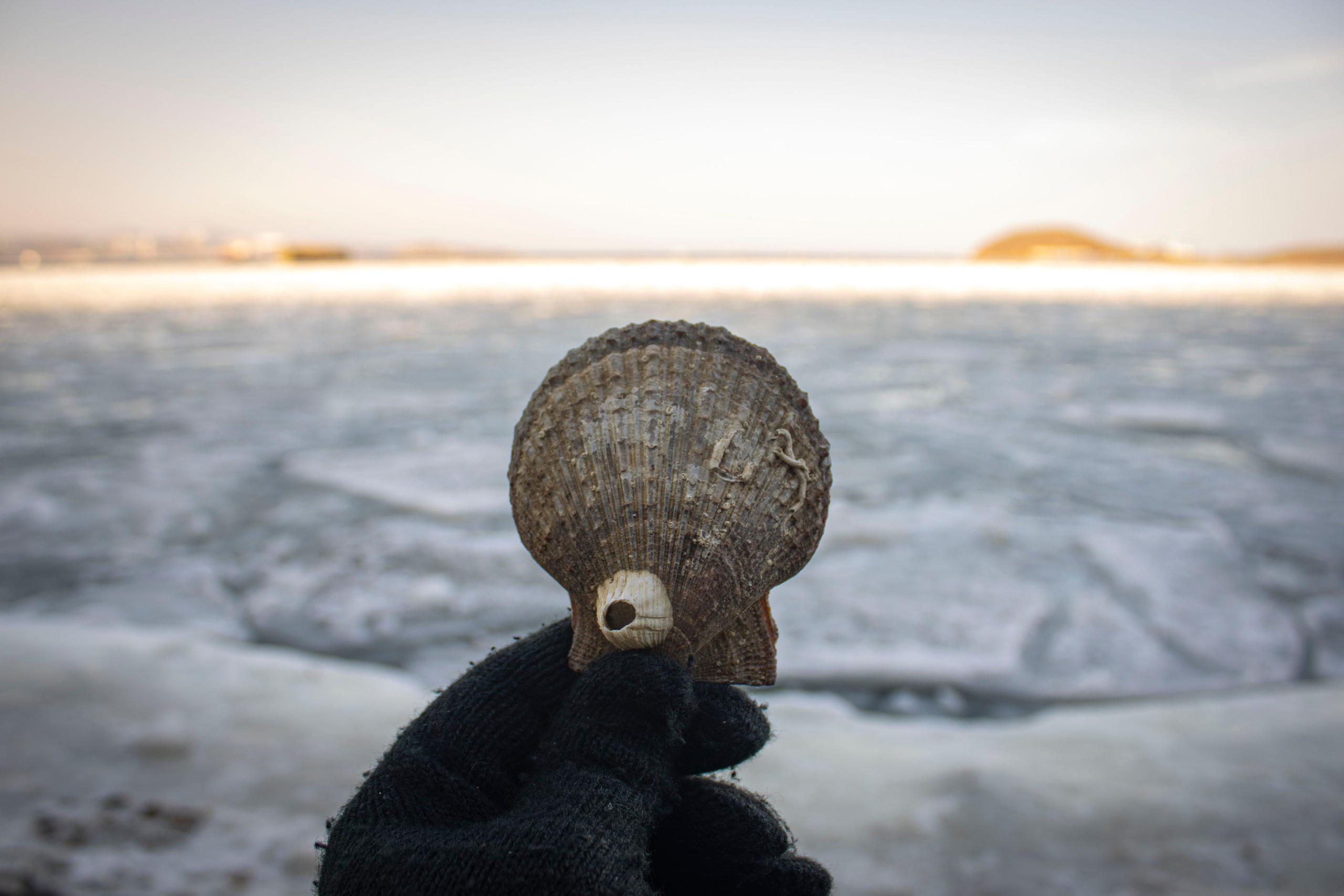 Творческий подход. Фотограф г. Владивосток