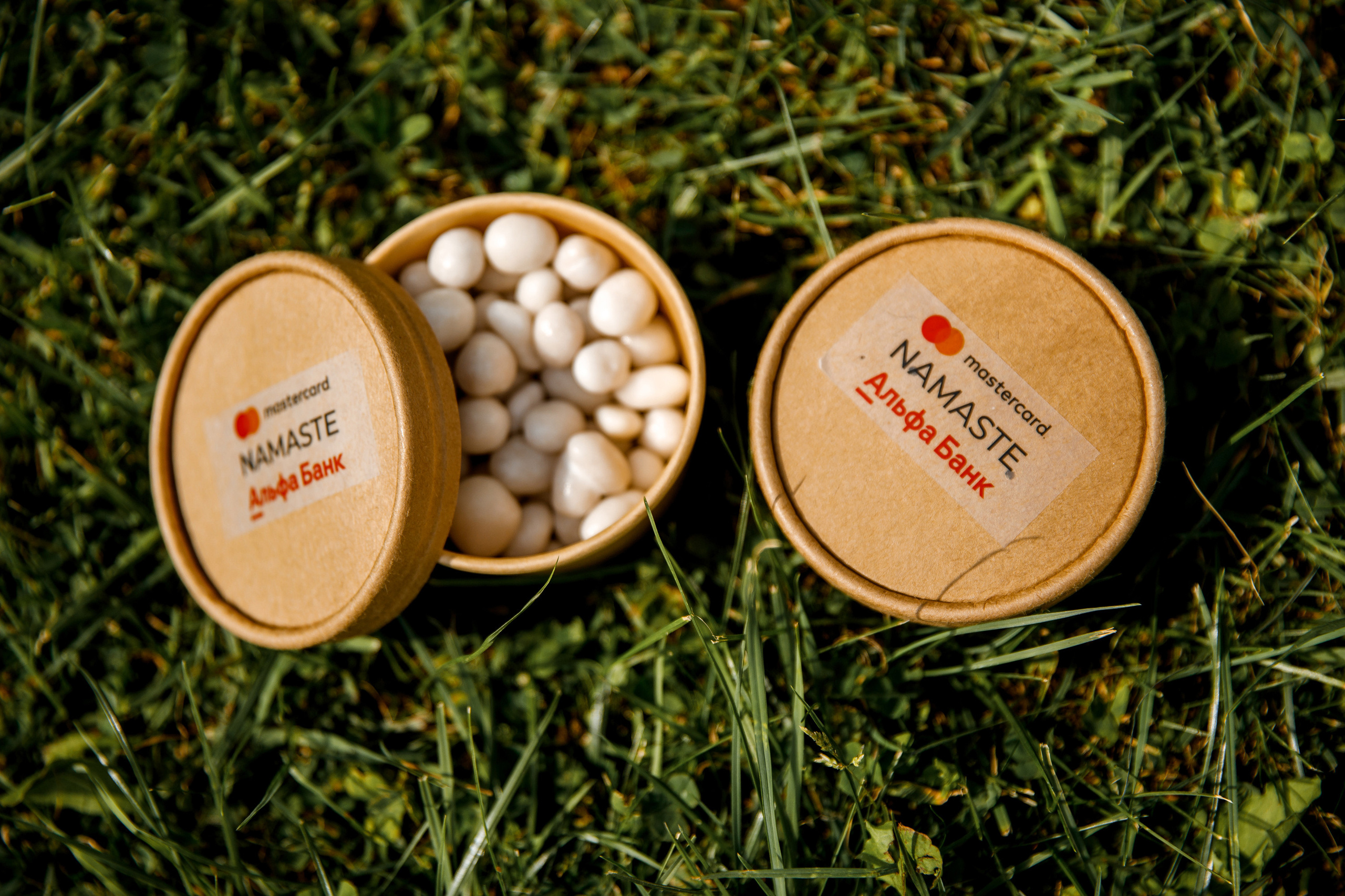 Vibse Land Альфа Банк Mastercard. Свадебный фотограф Каледич Тимофей