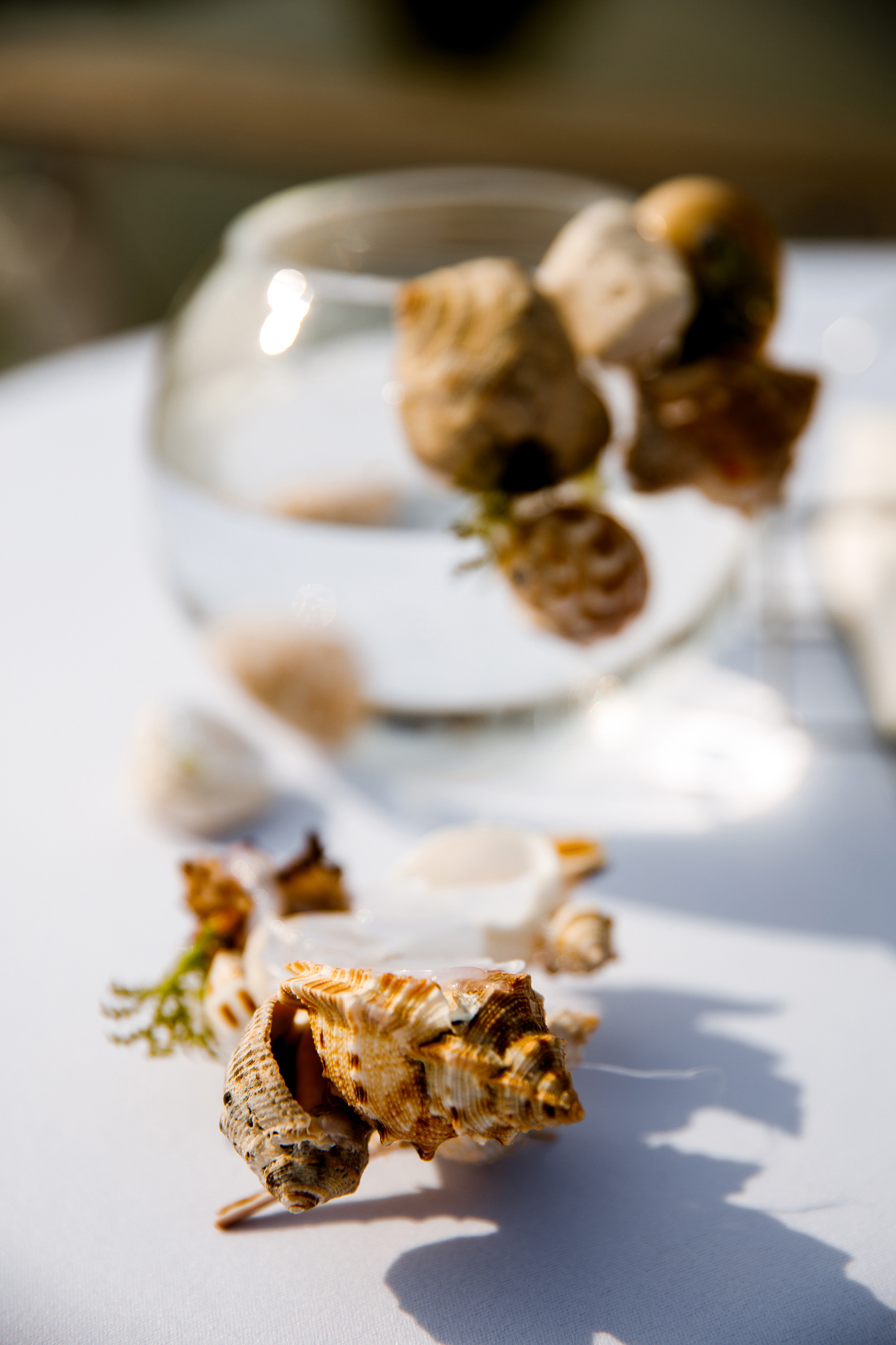 Vibse Land Альфа Банк Mastercard. Свадебный фотограф Каледич Тимофей