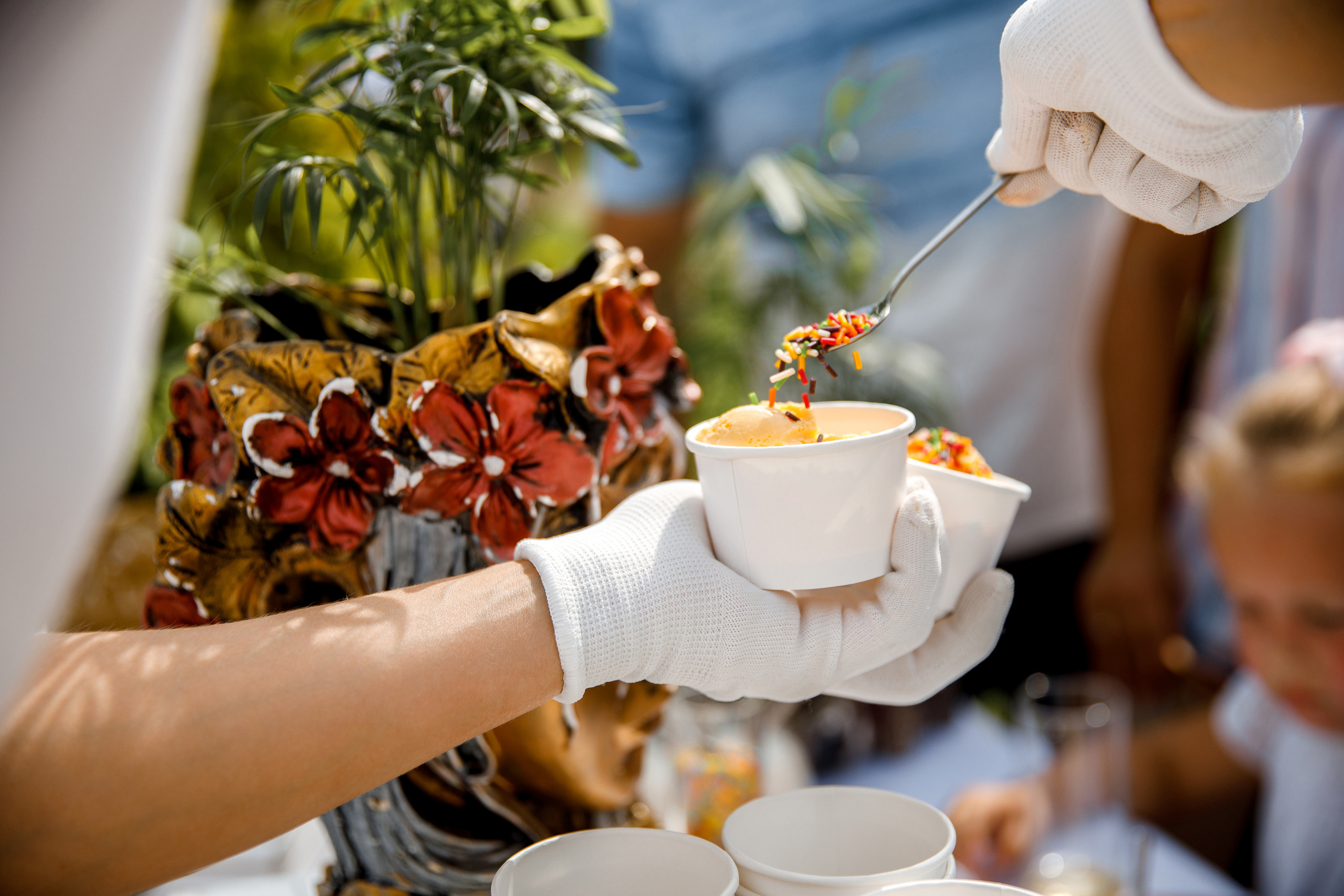 Vibse Land Альфа Банк Mastercard. Свадебный фотограф Каледич Тимофей