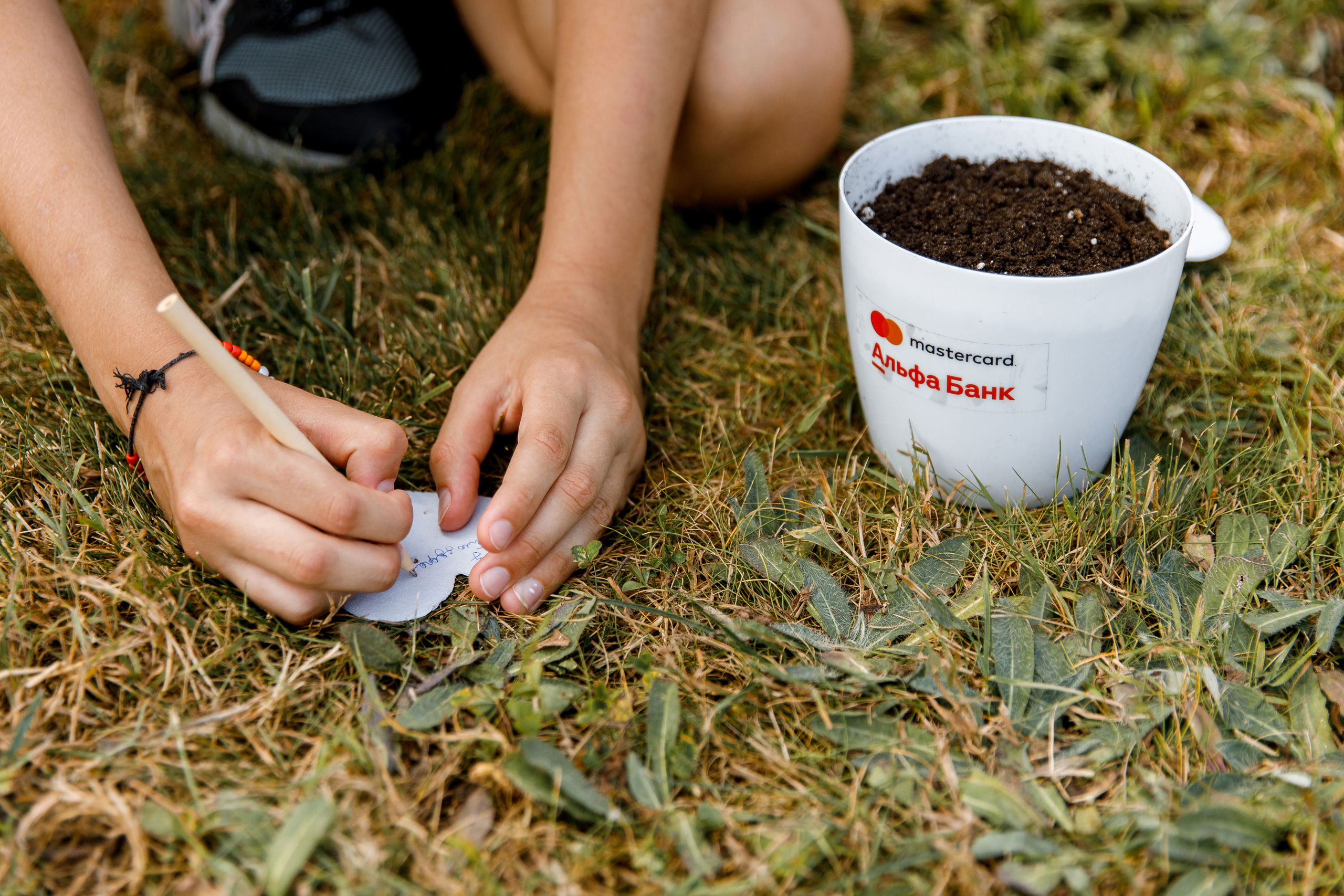 Vibse Land Альфа Банк Mastercard. Свадебный фотограф Каледич Тимофей