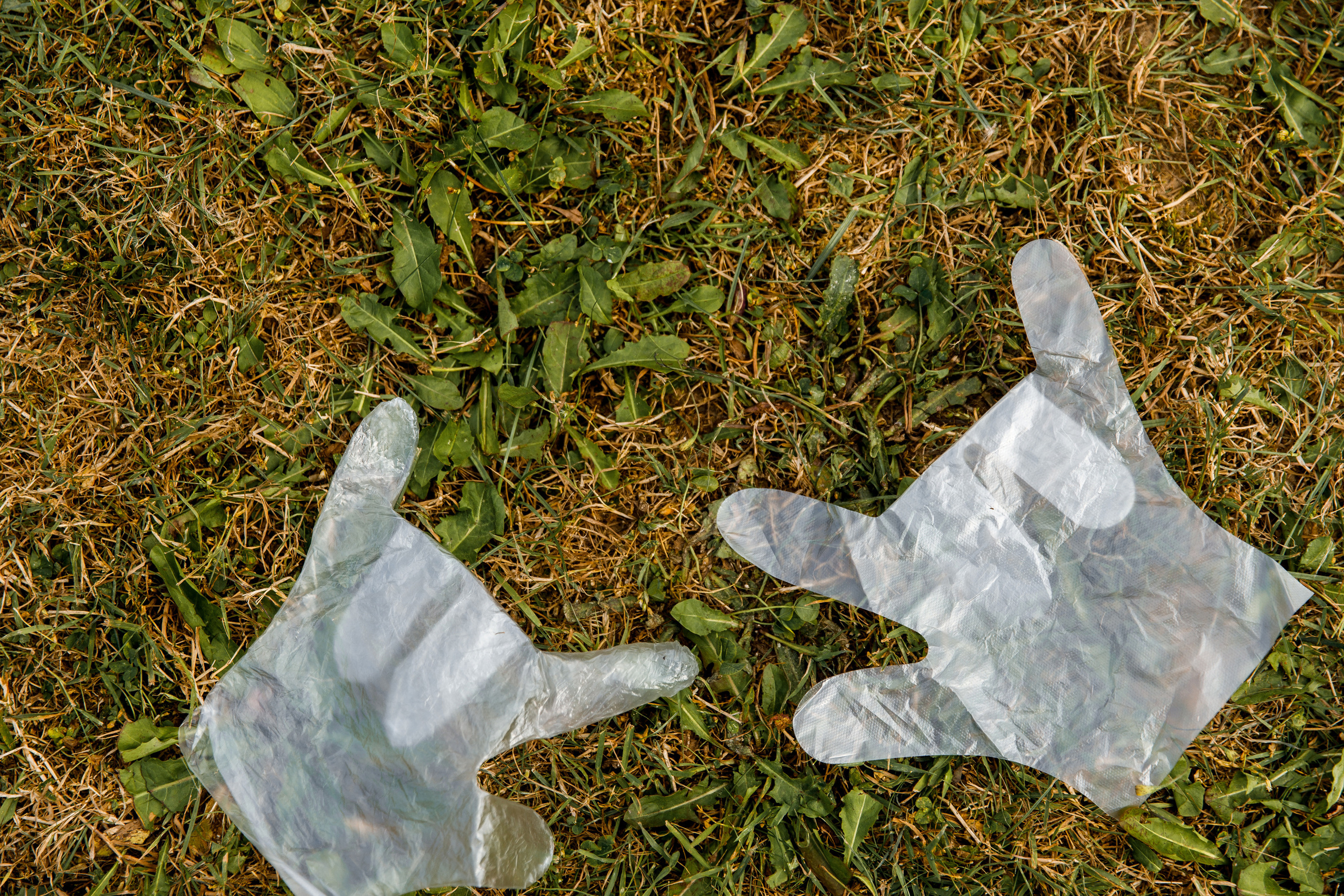 Vibse Land Альфа Банк Mastercard. Свадебный фотограф Каледич Тимофей