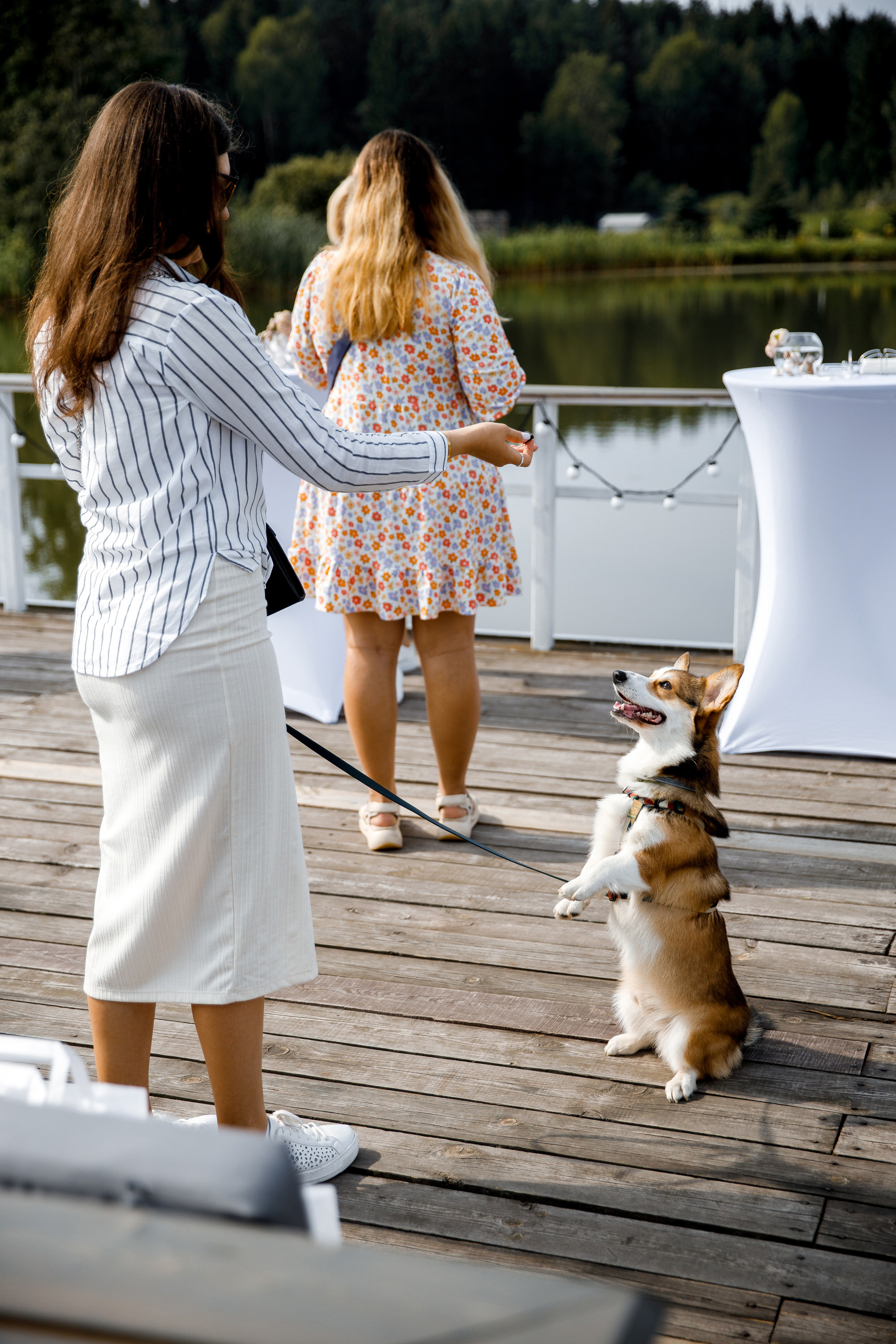 Vibse Land Альфа Банк Mastercard. Свадебный фотограф Каледич Тимофей
