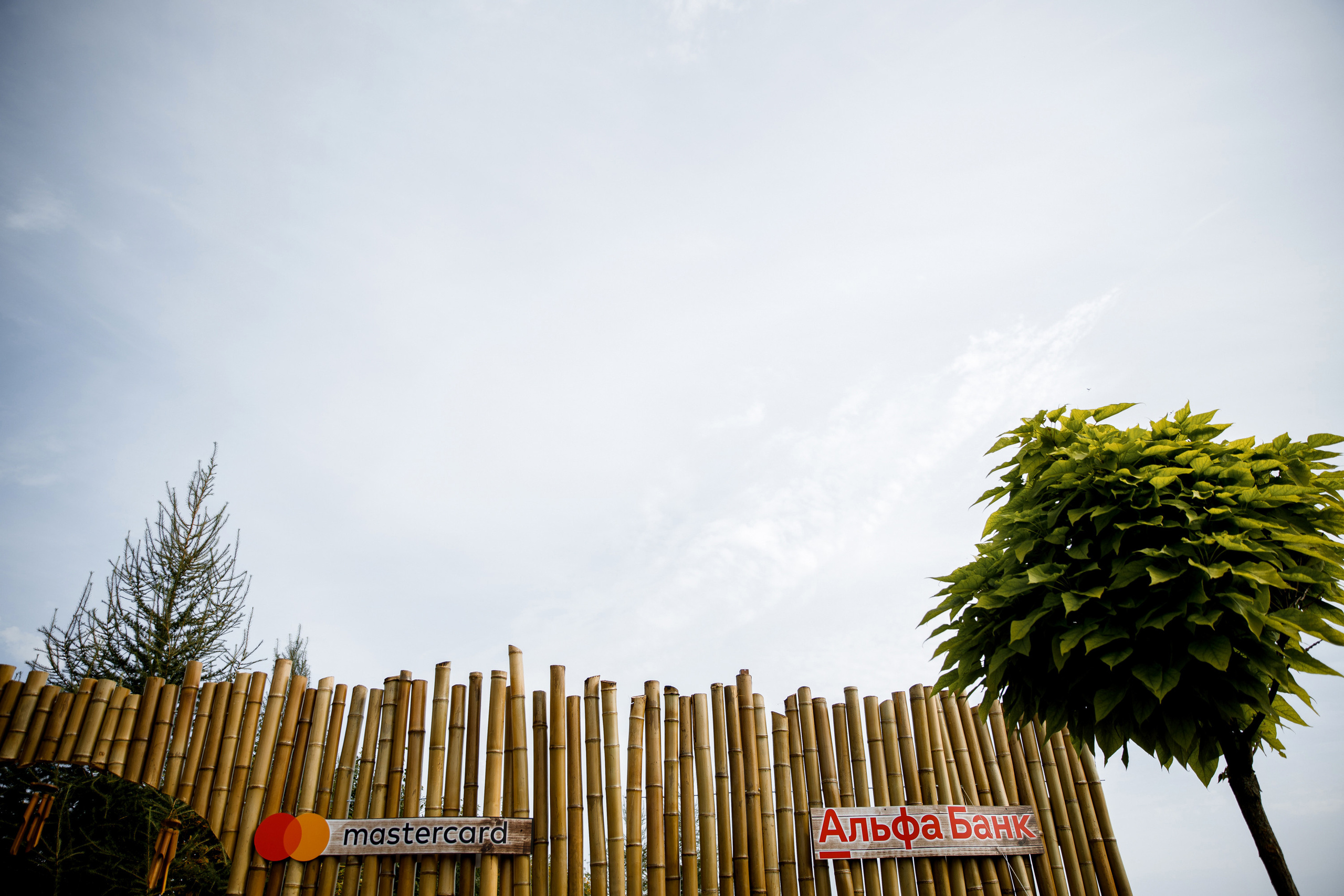 Vibse Land Альфа Банк Mastercard. Свадебный фотограф Каледич Тимофей