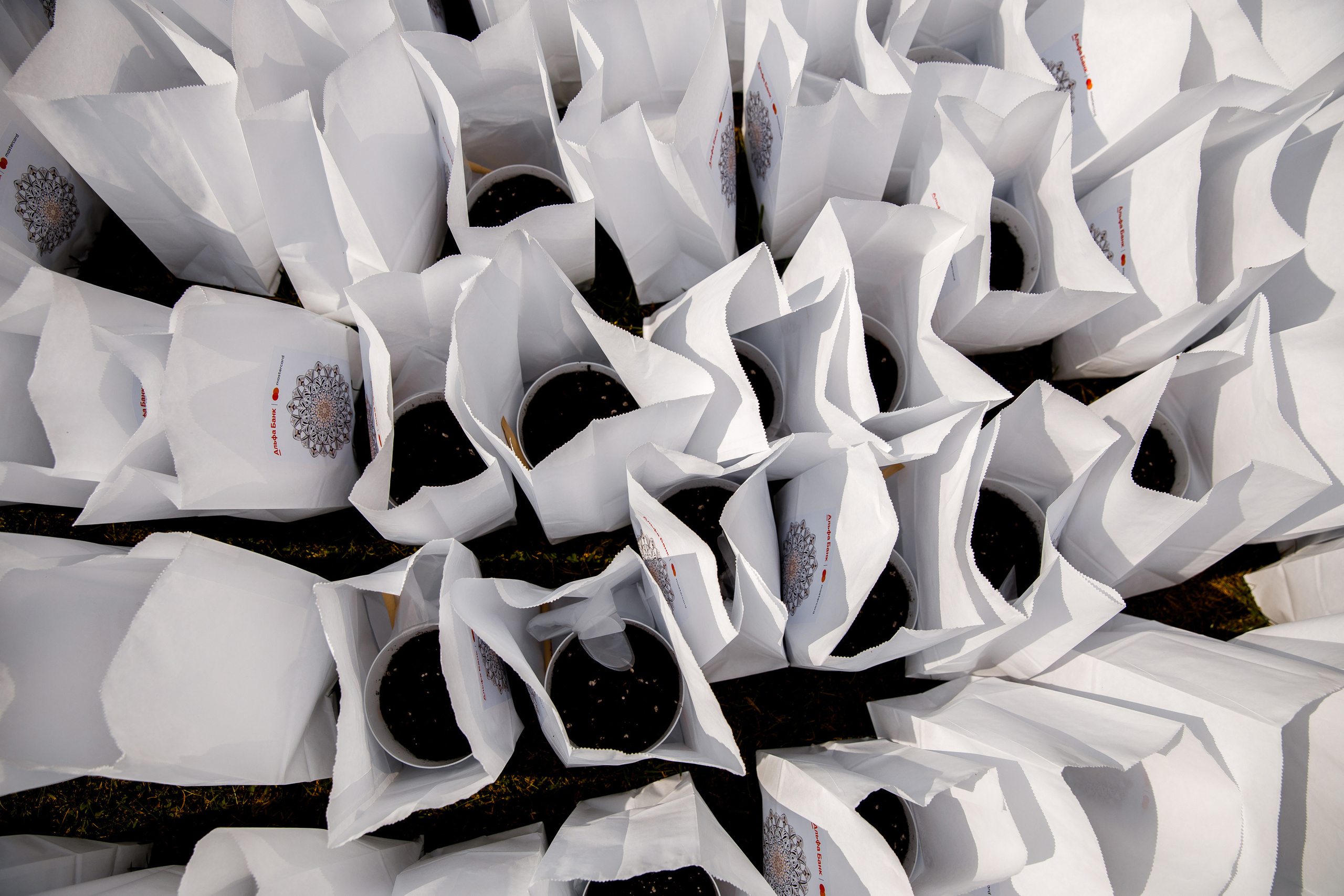 Vibse Land Альфа Банк Mastercard. Свадебный фотограф Каледич Тимофей