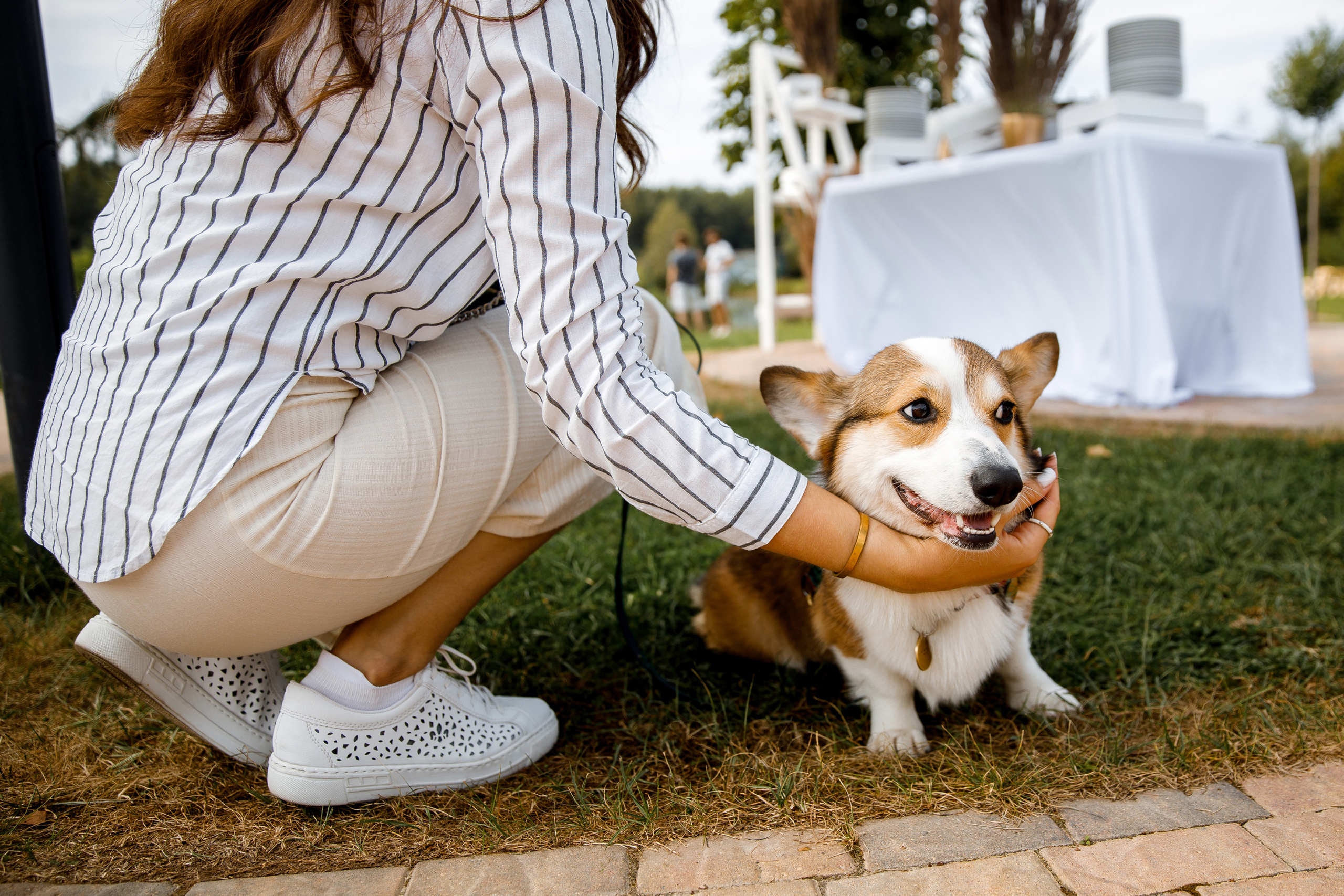 Vibse Land Альфа Банк Mastercard. Свадебный фотограф Каледич Тимофей