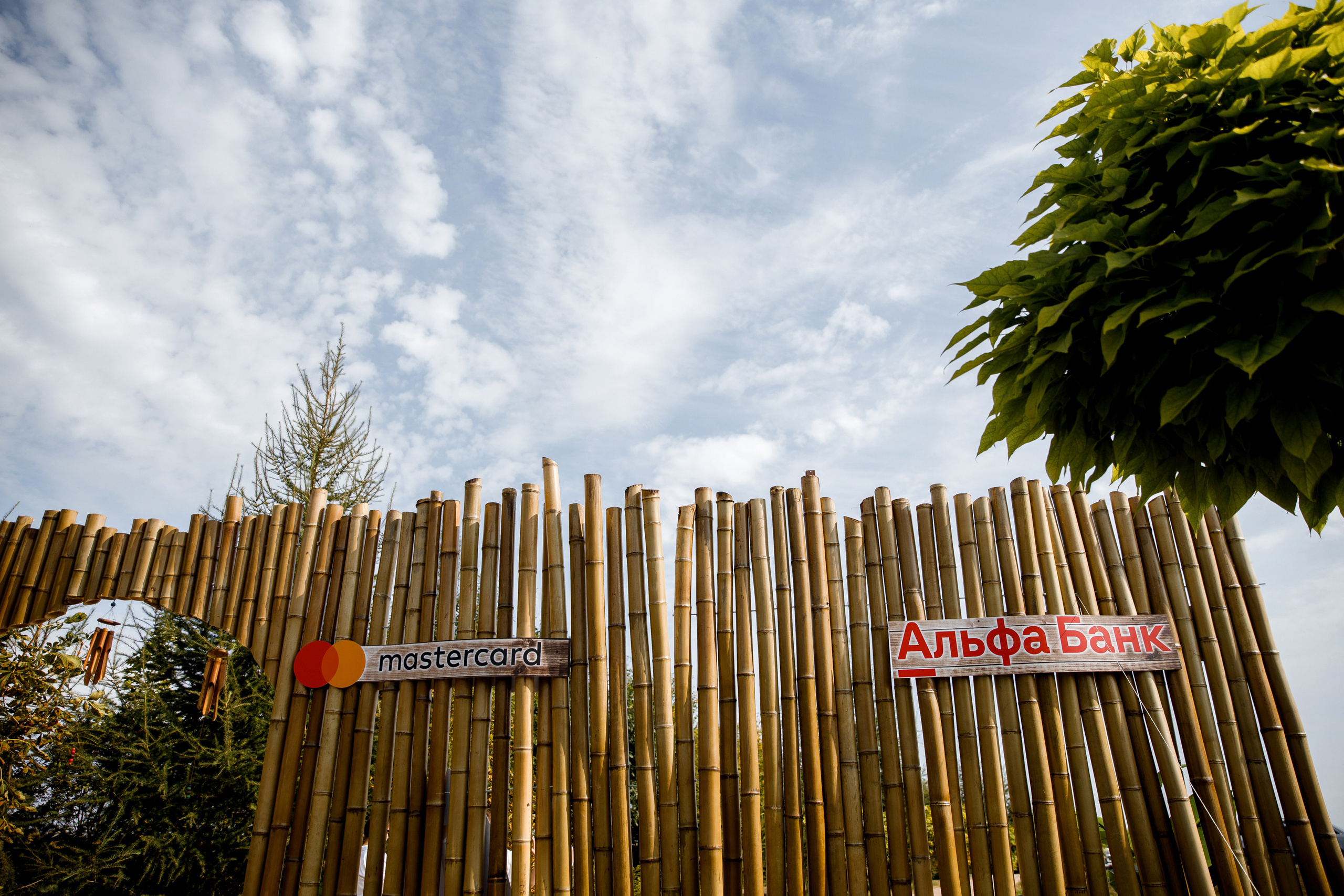 Vibse Land Альфа Банк Mastercard. Свадебный фотограф Каледич Тимофей