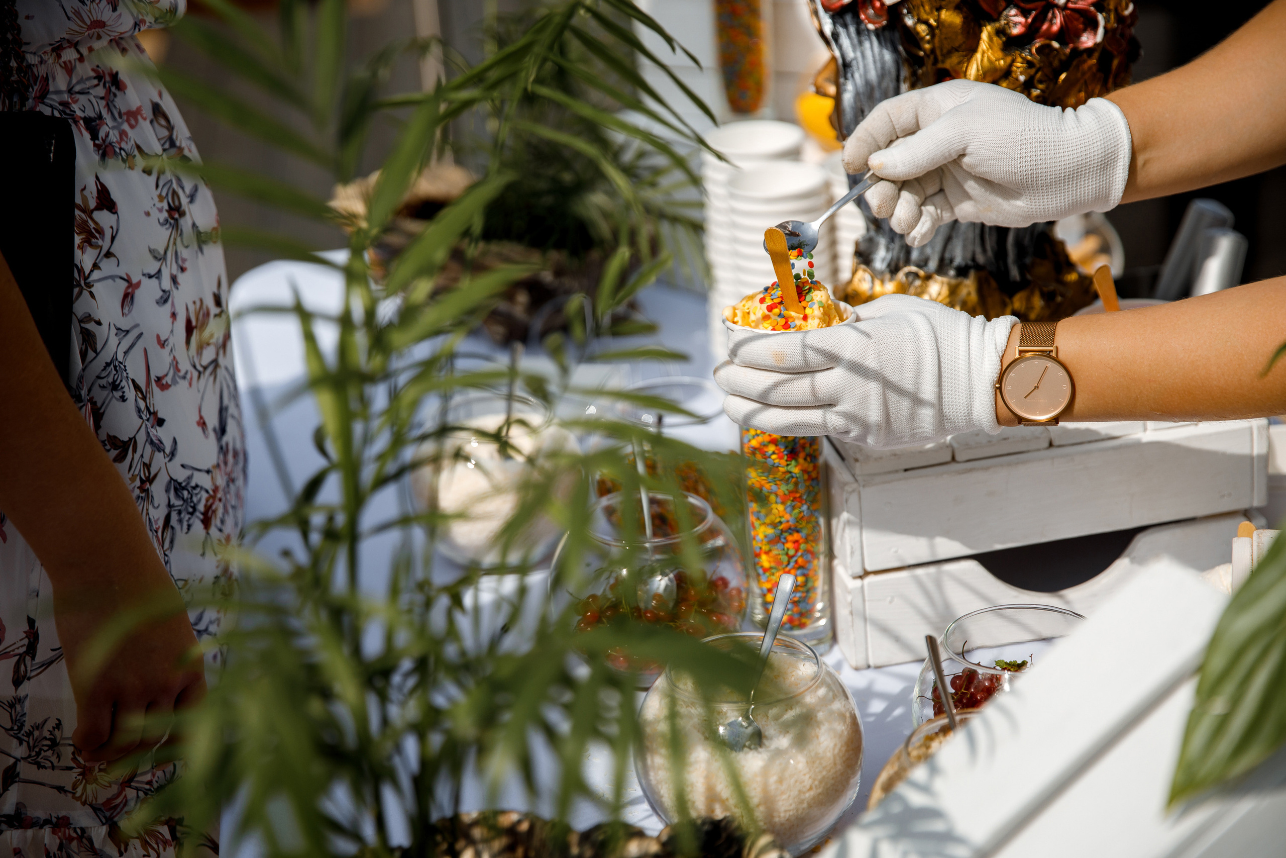 Vibse Land Альфа Банк Mastercard. Свадебный фотограф Каледич Тимофей