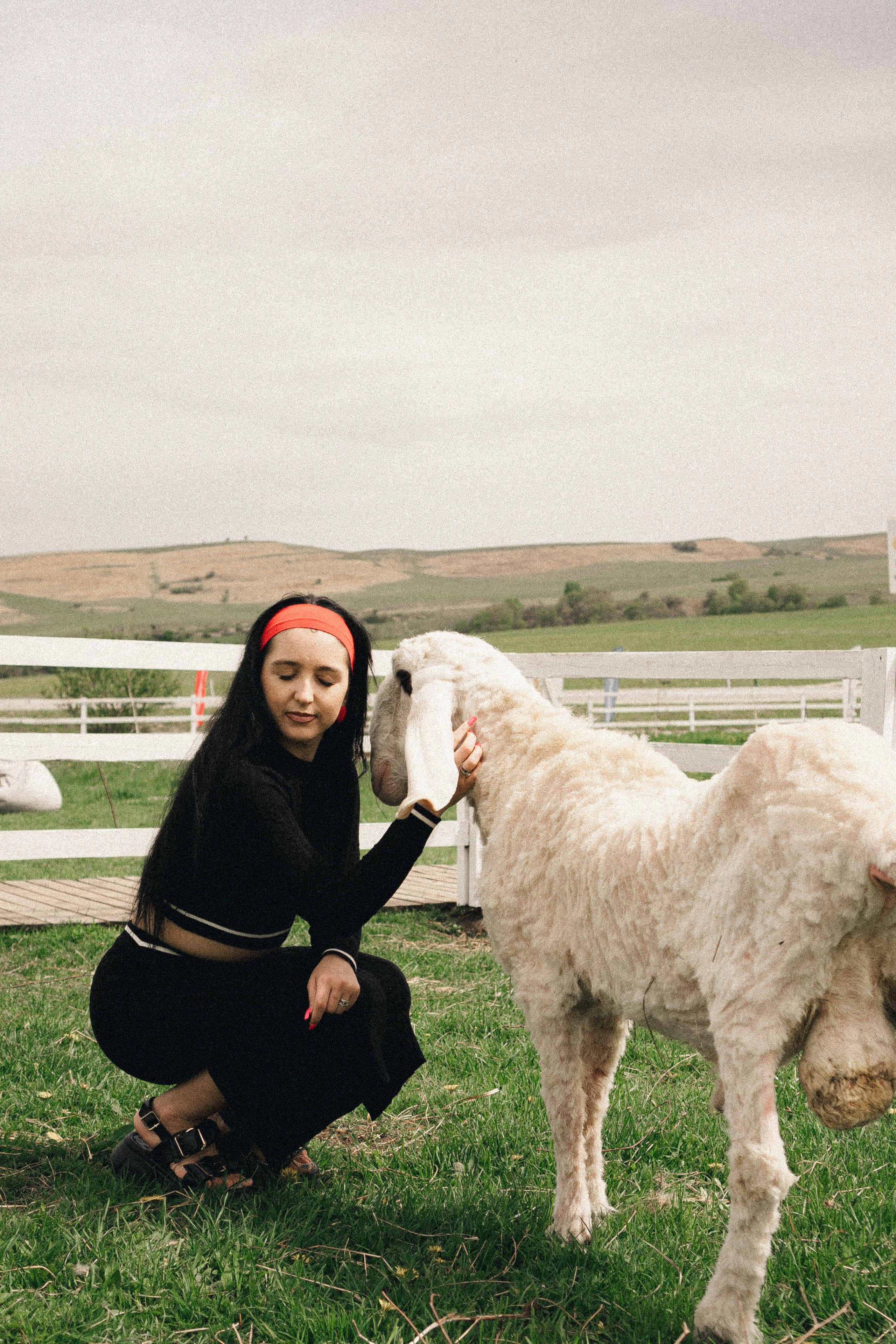 Ферма Альпак. Профессиональный фотограф, Санкт-Петербург — Виктория Богомолова