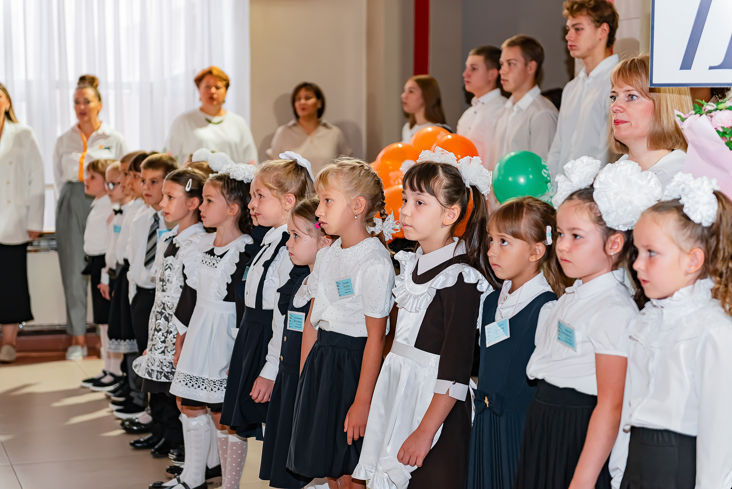 1 «В» | Гимназия № 3| г. Белгород |2024. ALBUMIA