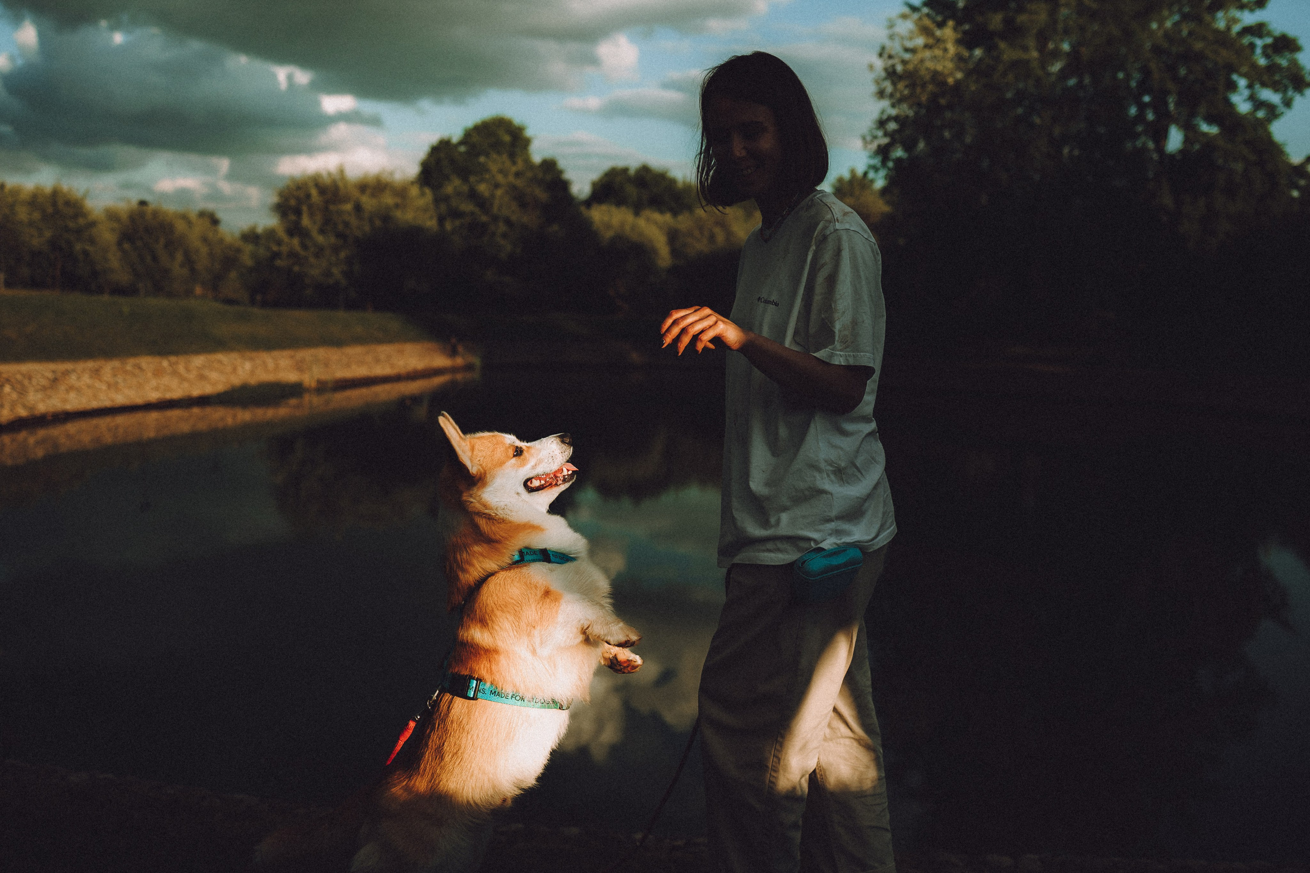 Вирджик и его семья