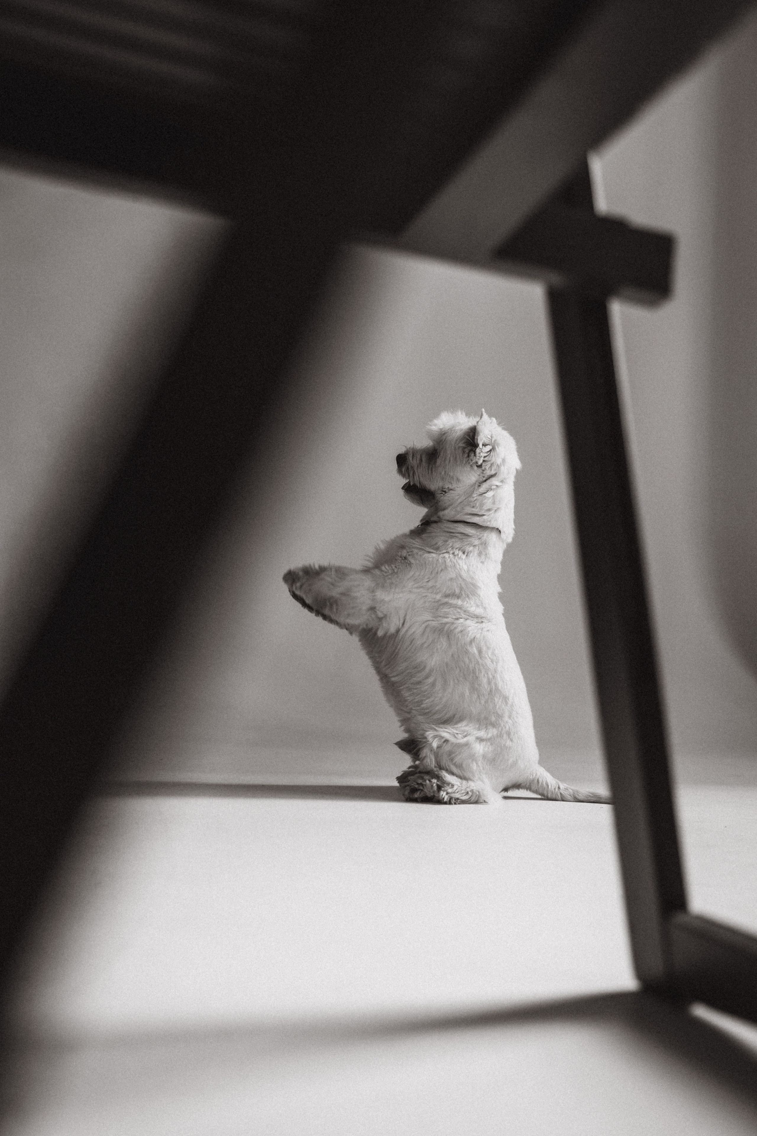 Вера и Бакс