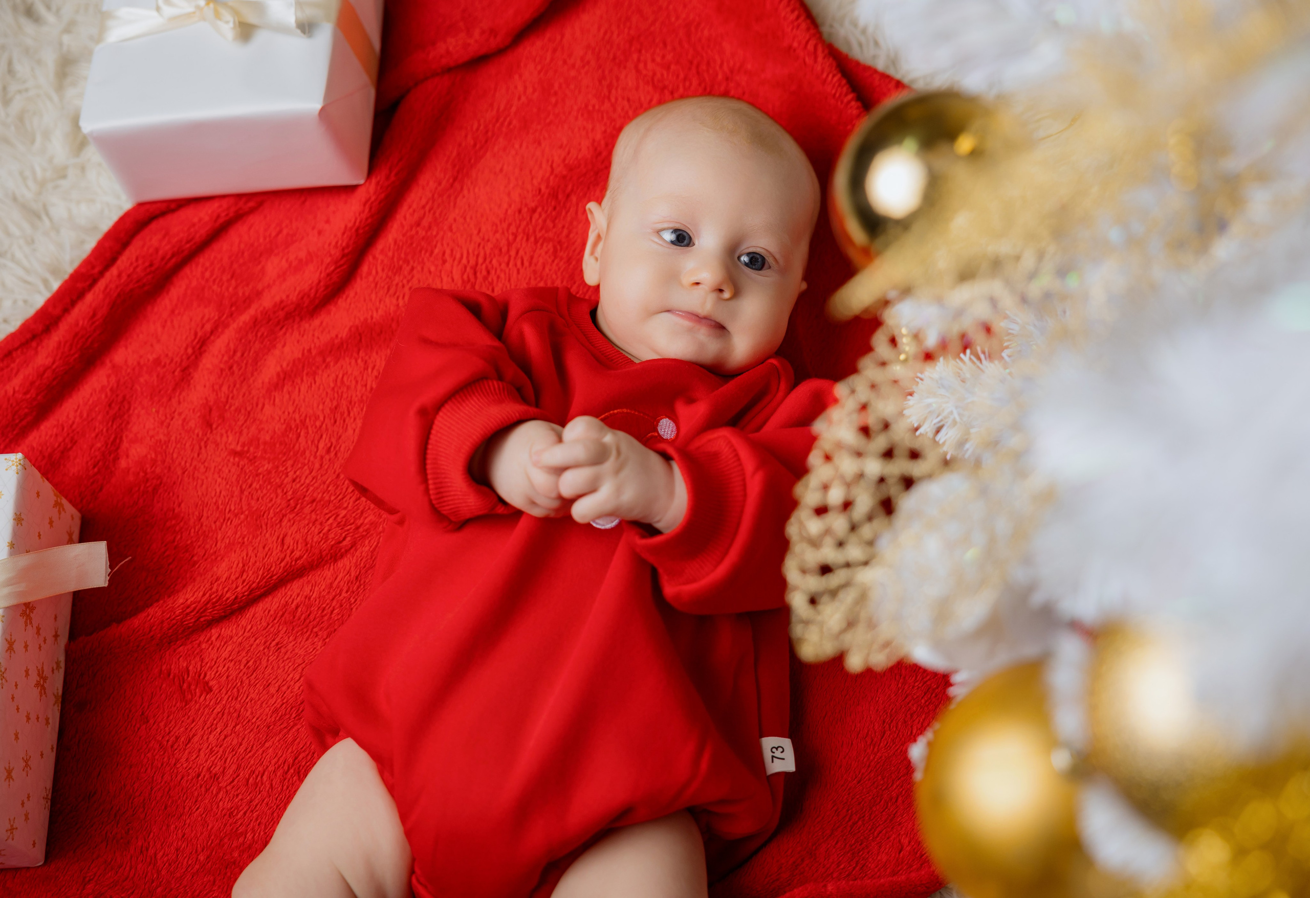 Новый год 2026. Фотограф Петров Александр Свадьбы, Съемка в студии, Выпускные альбомы г. Балашов