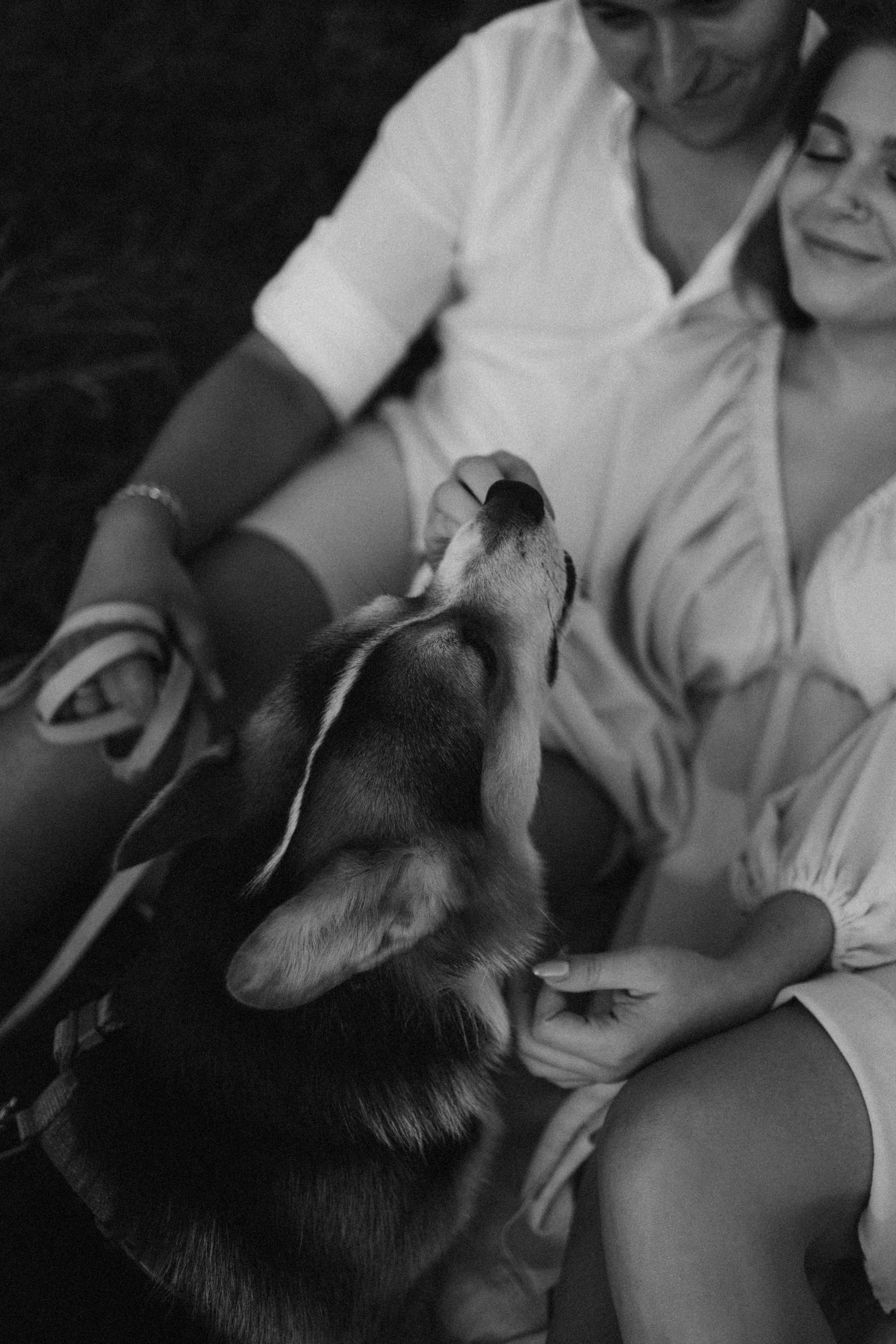 Настя и Кирилл. Фотограф в Туле и Алексине Стулова Мария