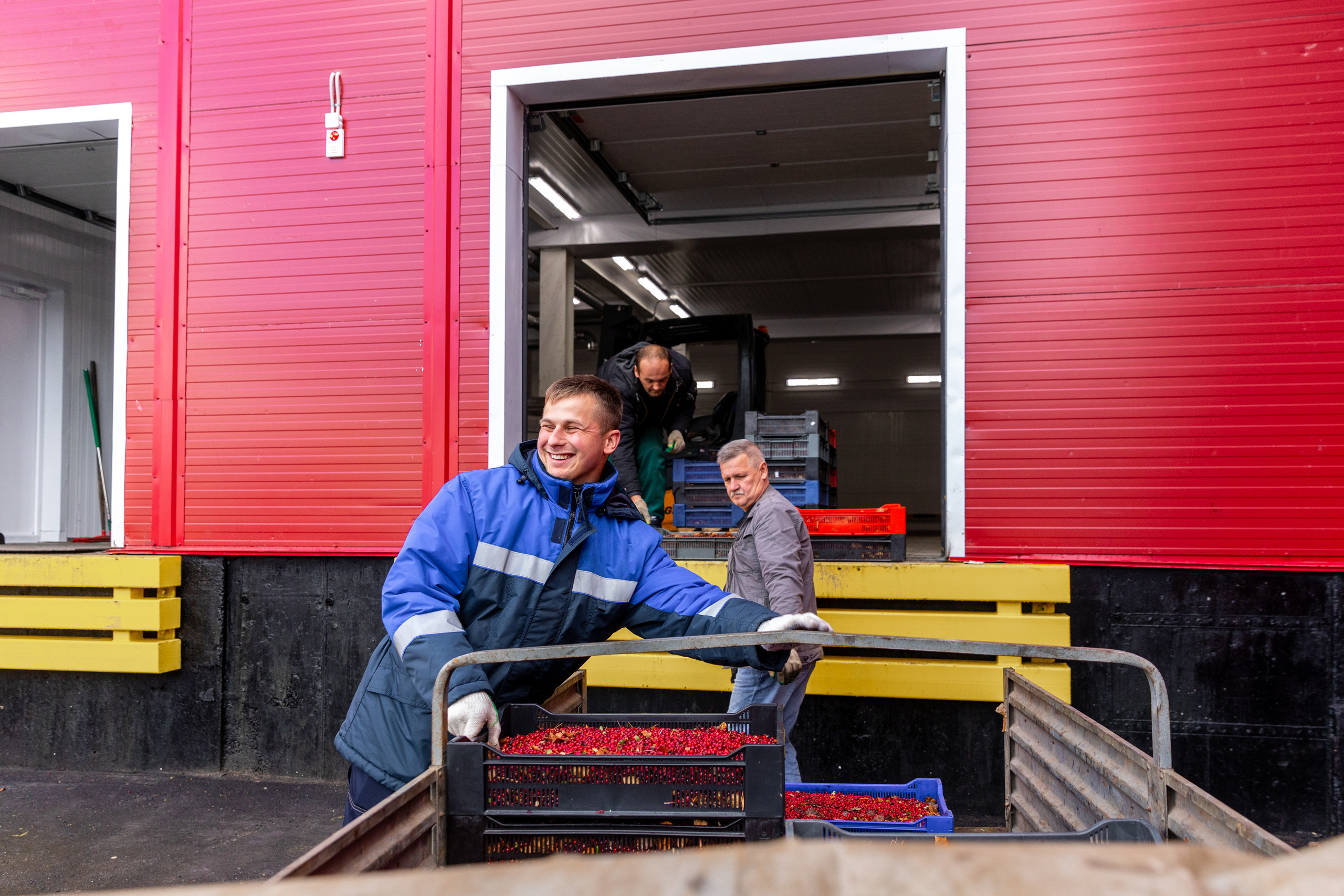 ЯГОДА. Фотограф в Петрозаводске Игорь Герасименко