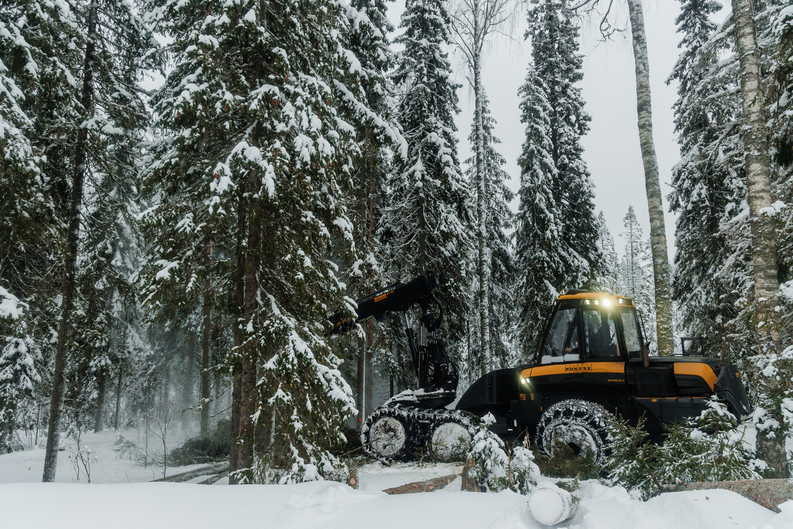 ЛЕСХОЗ. Фотограф в Петрозаводске Игорь Герасименко