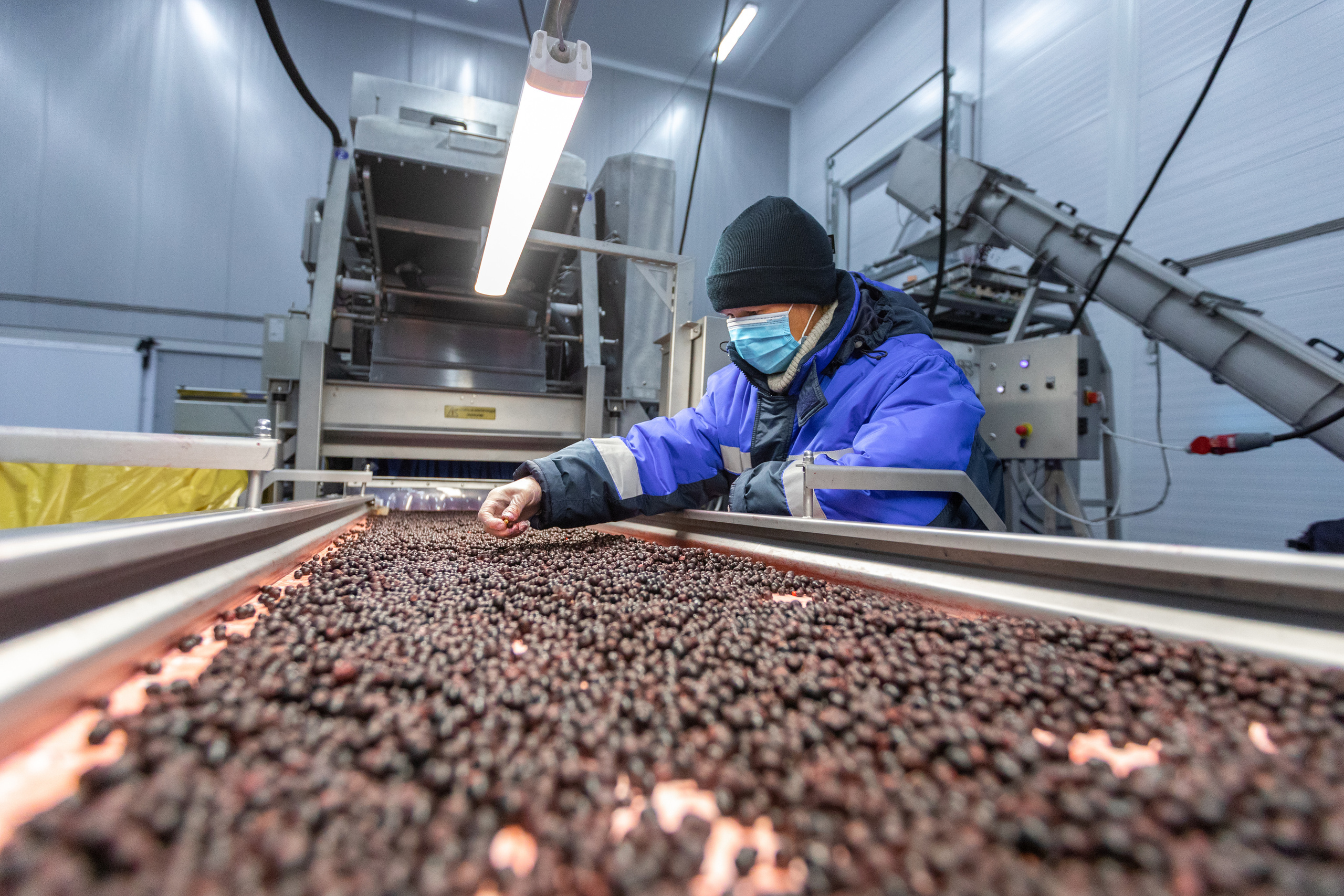 ЯГОДА. Фотограф в Петрозаводске Игорь Герасименко