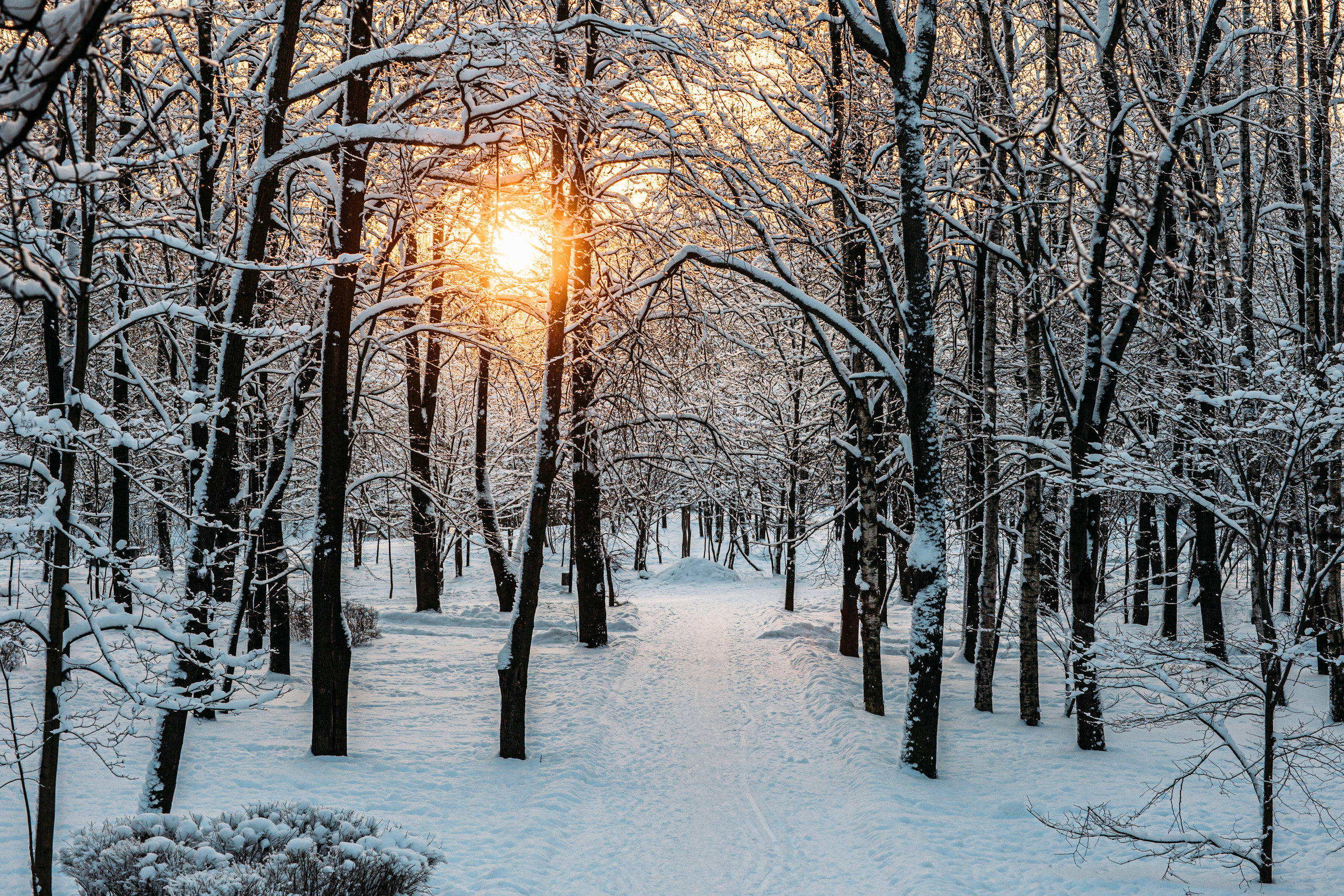Зима. Фотограф в Петрозаводске Игорь Герасименко