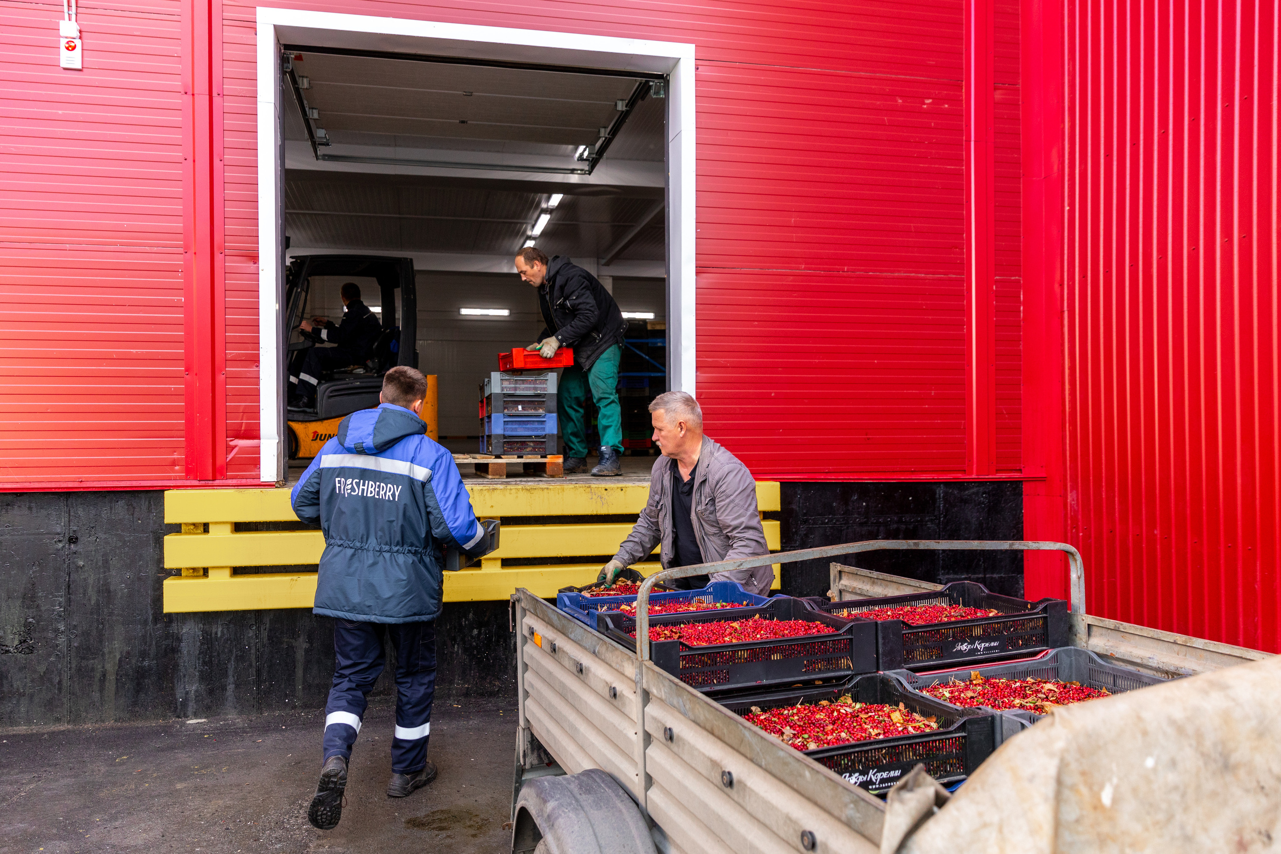 ЯГОДА. Фотограф в Петрозаводске Игорь Герасименко