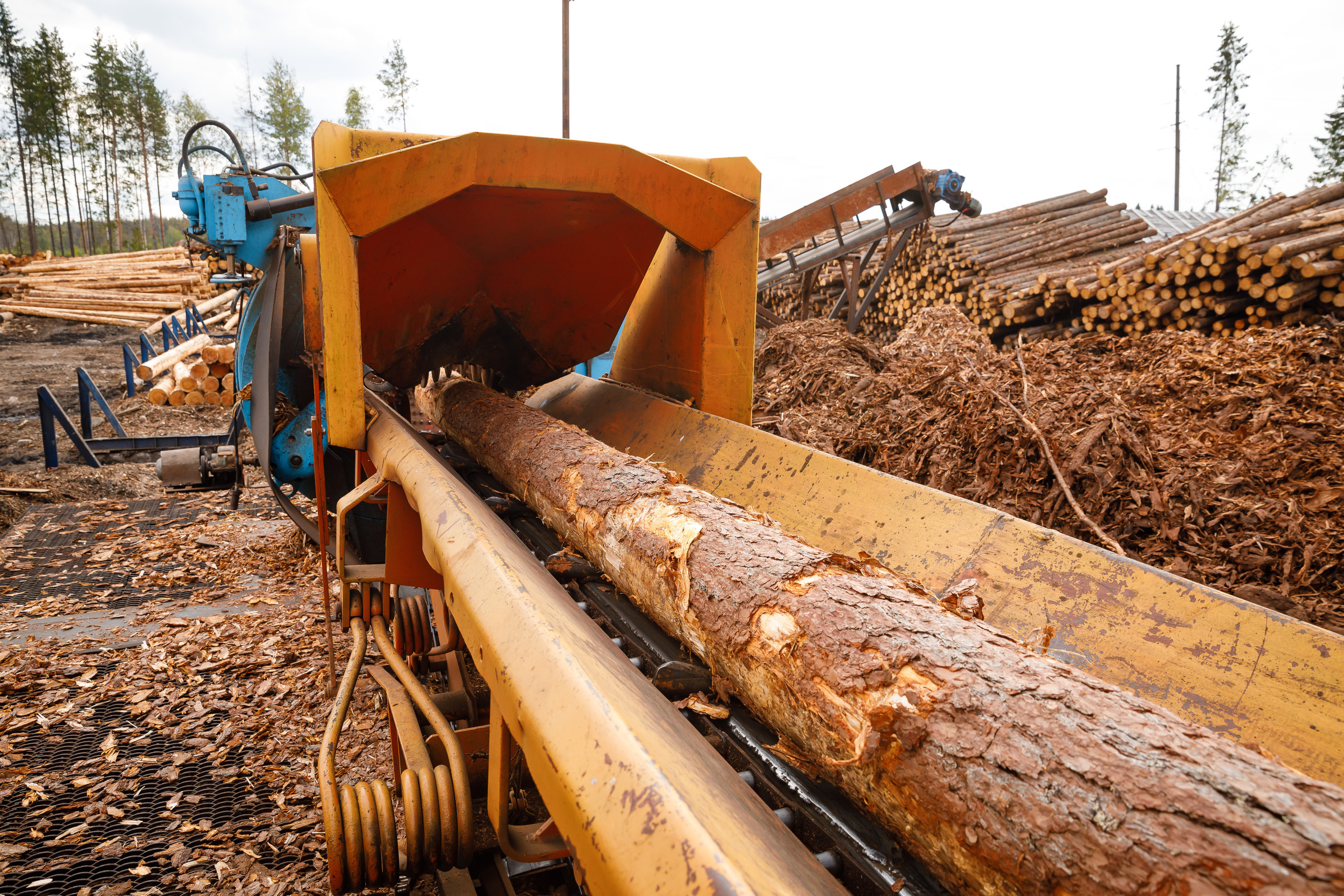 ПИЛОРАМА. Фотограф в Петрозаводске Игорь Герасименко