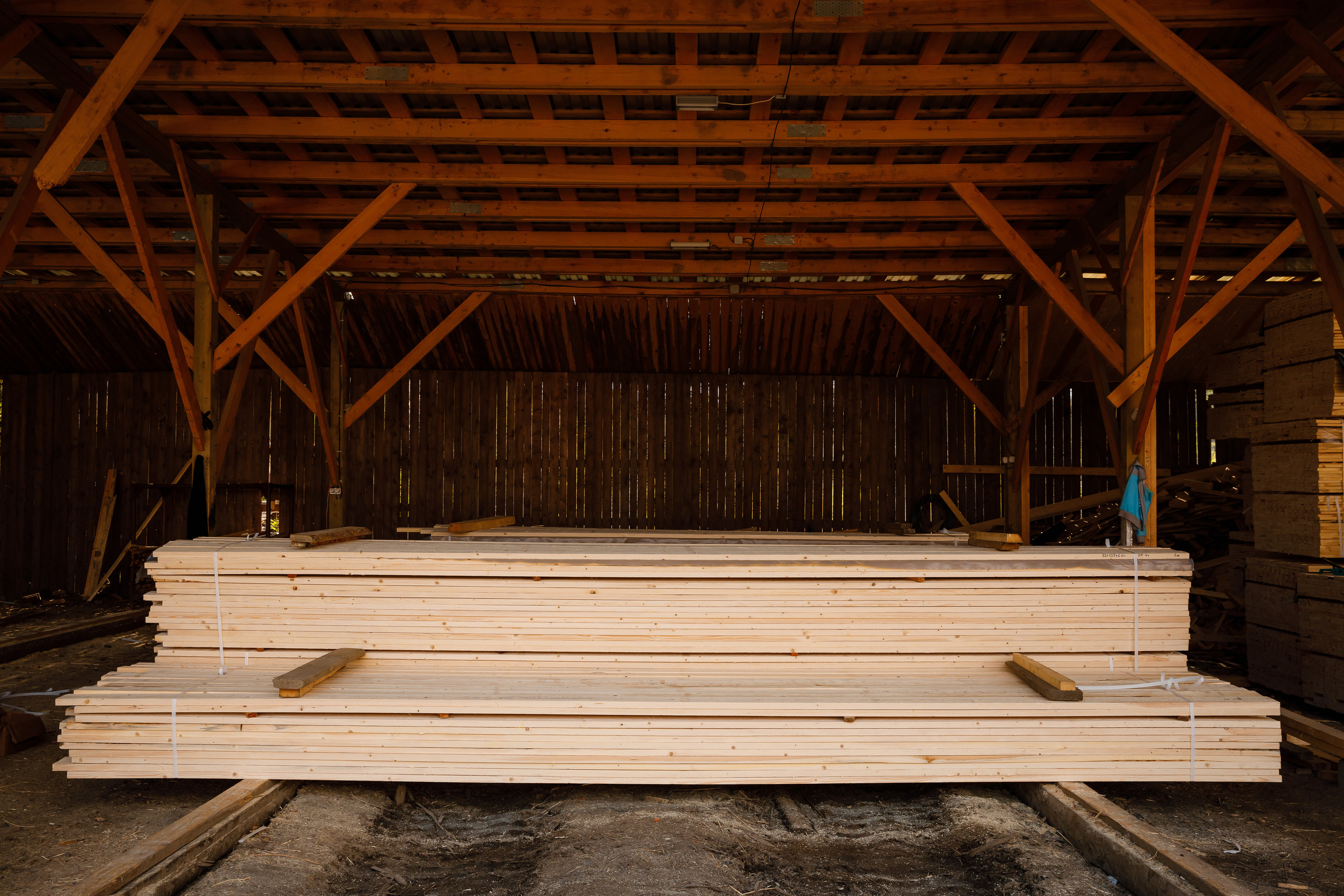 ПИЛОРАМА. Фотограф в Петрозаводске Игорь Герасименко