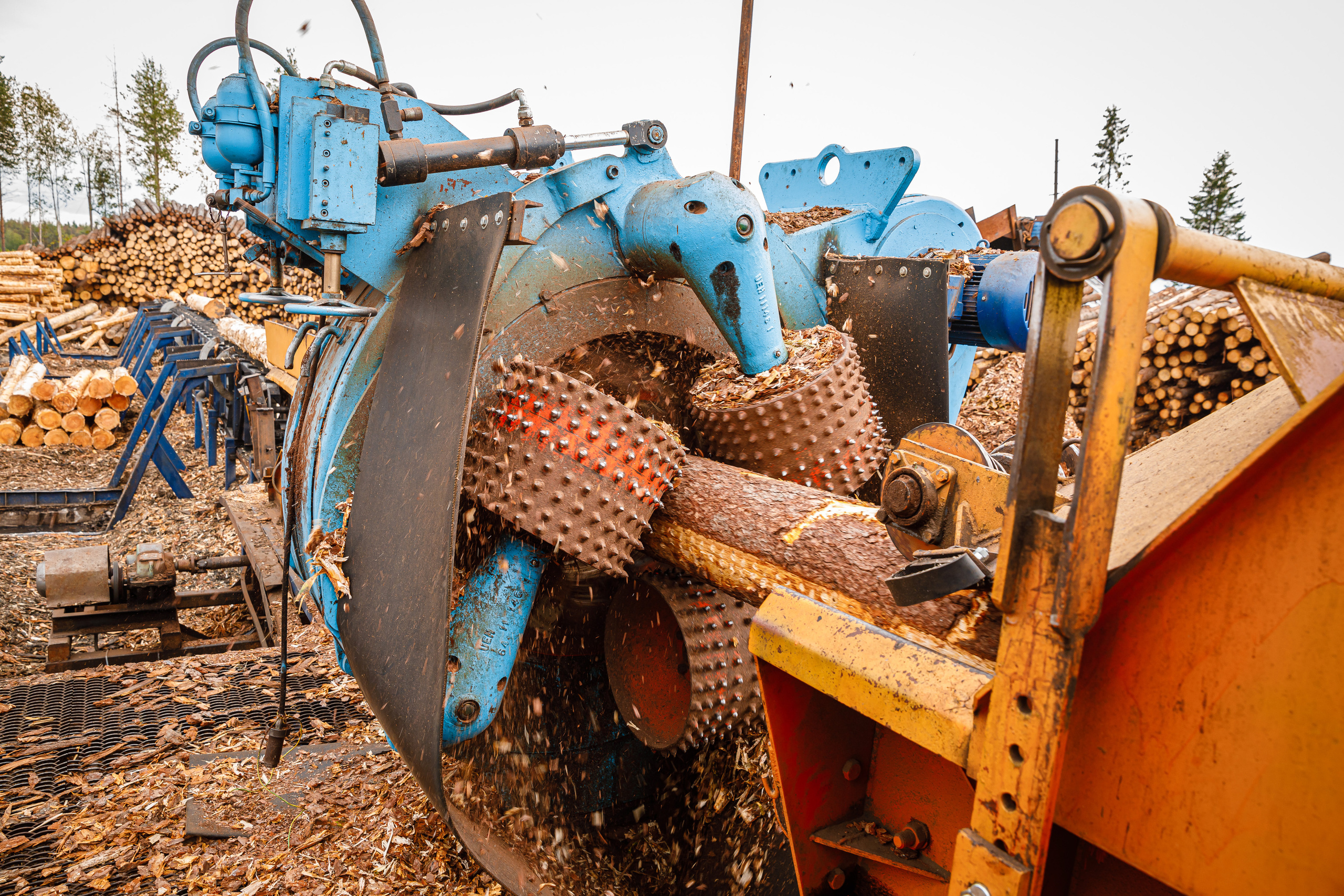 ПИЛОРАМА. Фотограф в Петрозаводске Игорь Герасименко