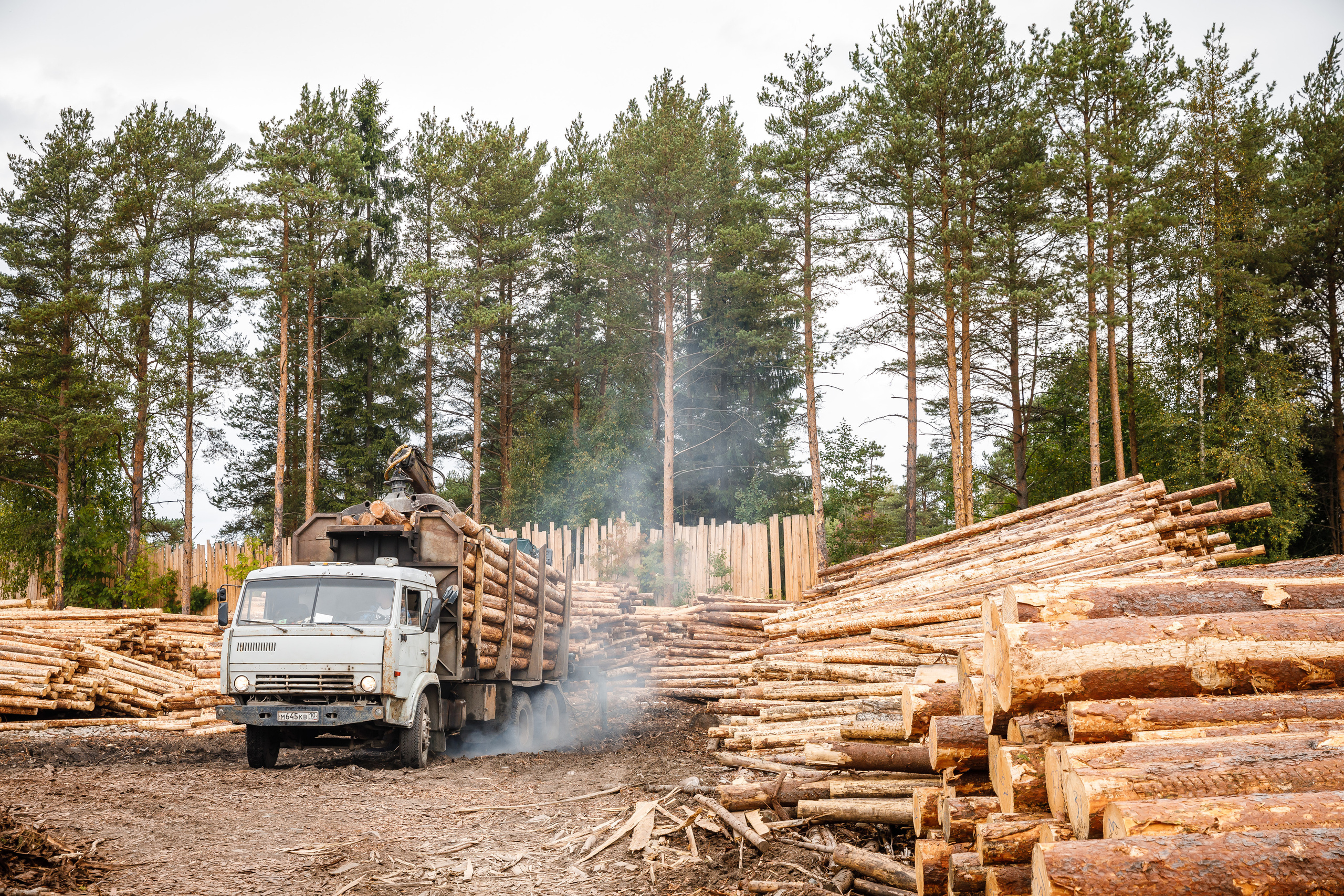 ПИЛОРАМА. Фотограф в Петрозаводске Игорь Герасименко
