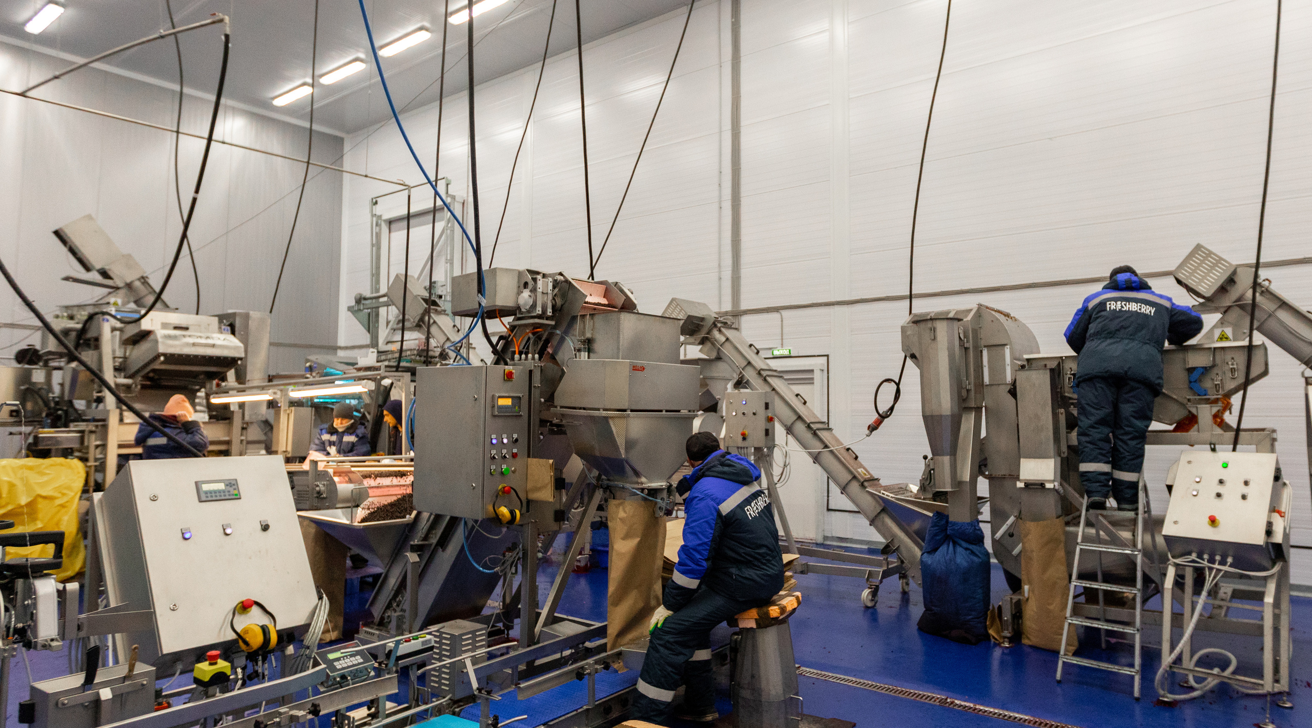 ЯГОДА. Фотограф в Петрозаводске Игорь Герасименко