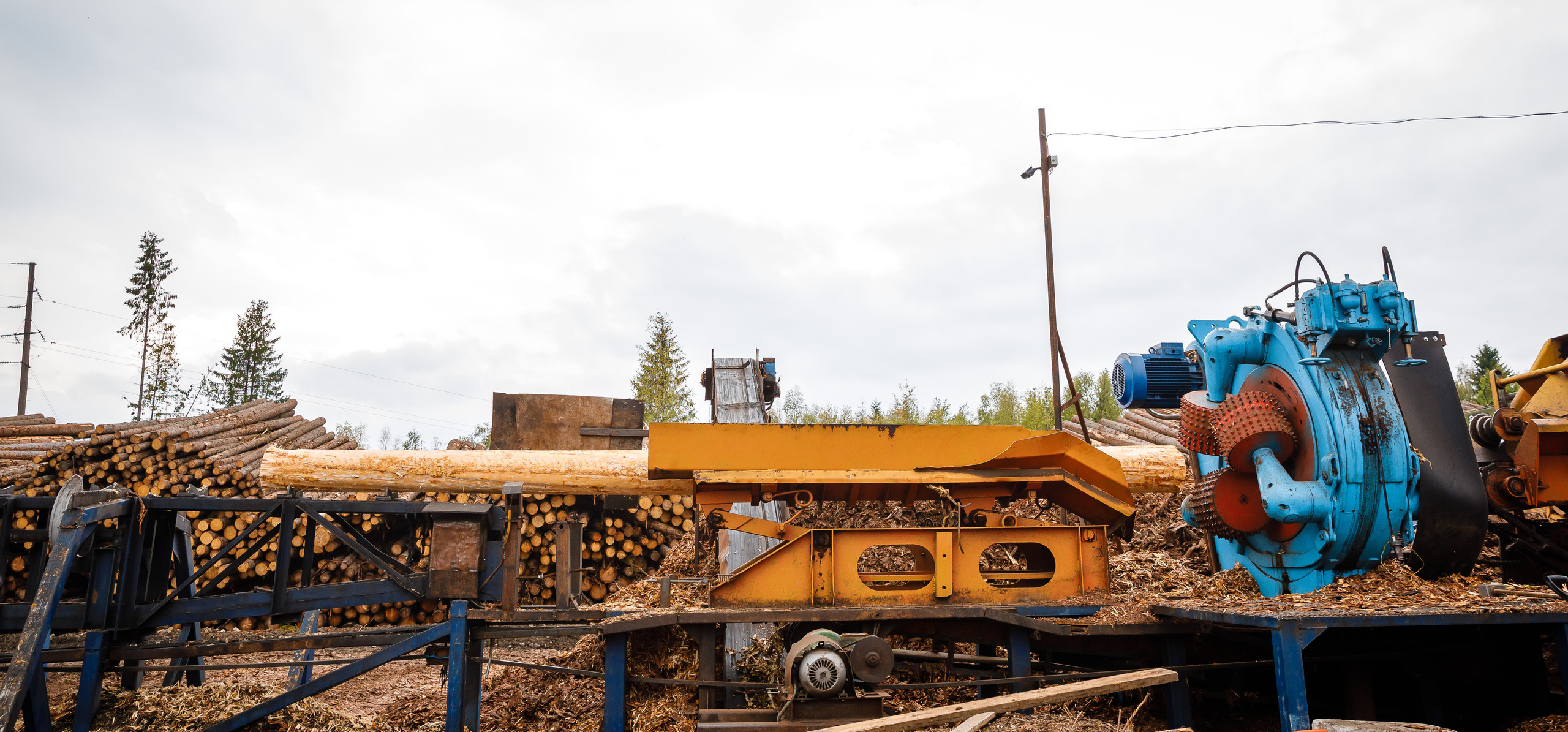 ПИЛОРАМА. Фотограф в Петрозаводске Игорь Герасименко