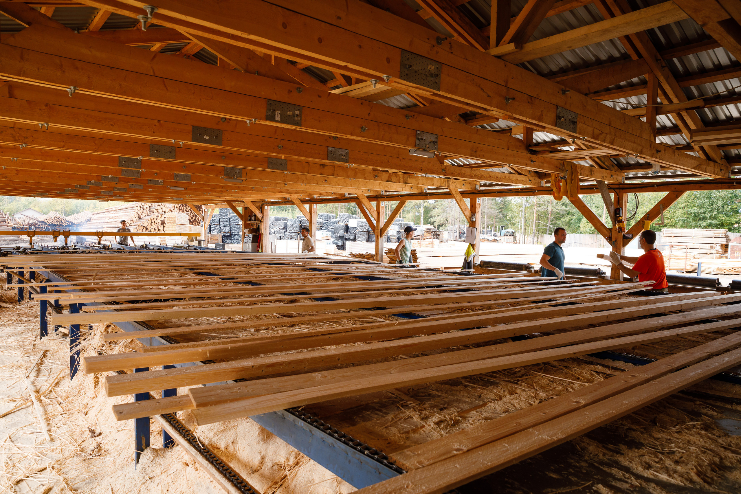 ПИЛОРАМА. Фотограф в Петрозаводске Игорь Герасименко